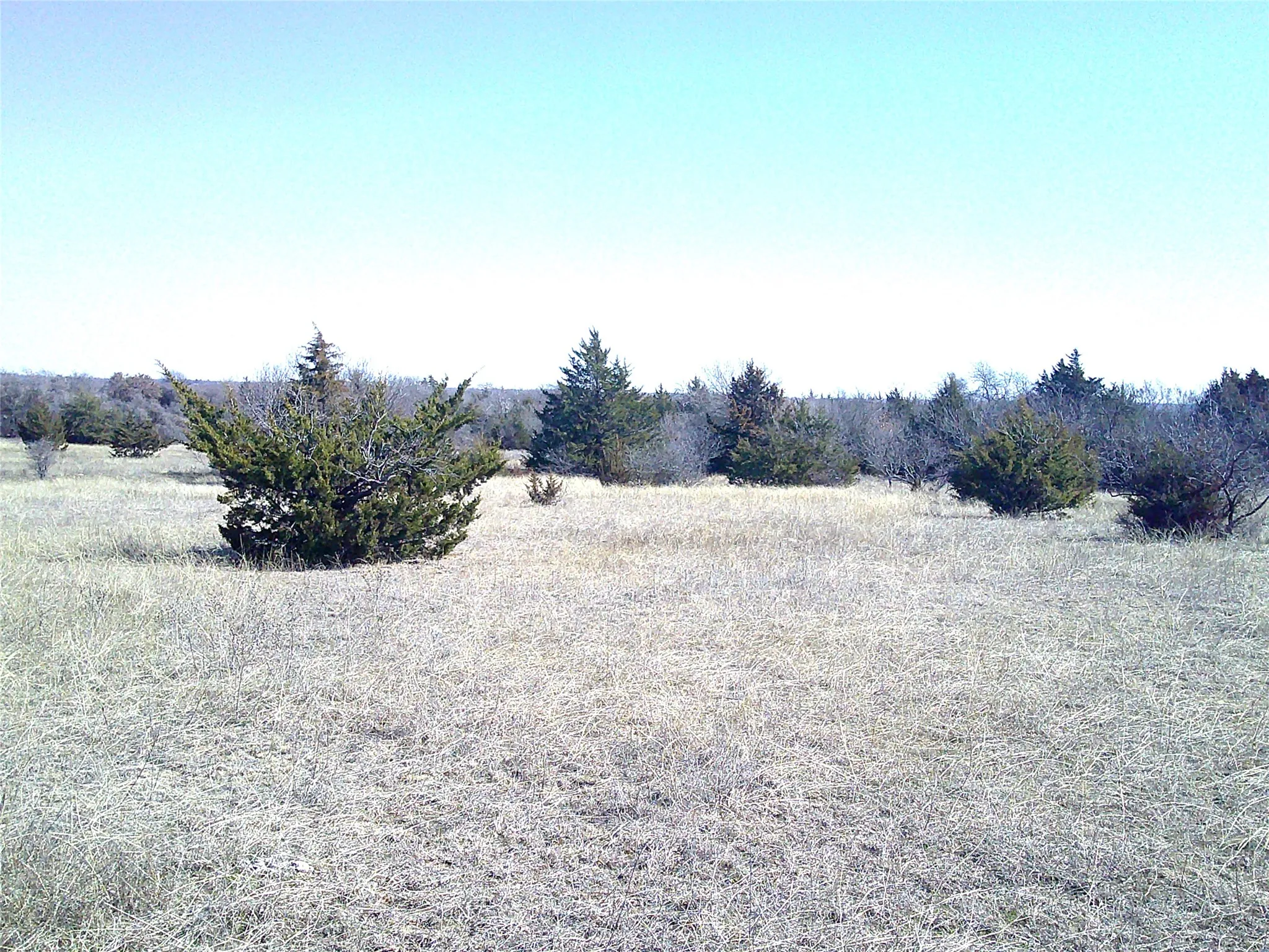 Unimproved Land For Sale in Wise County , Tr 5 CR 1750, Chico, Texas 76431, 0, 0, Garage spaces, 0 Sqft, built in 0, mls#20867567, Real Estate Agent in Chico, Homes For Sale in Wise county, Homes For Sale in Chico, Realtor in Chico Texas, Real Estate Brokerage Independent Realty Texas, Luminita Cordes Realtor