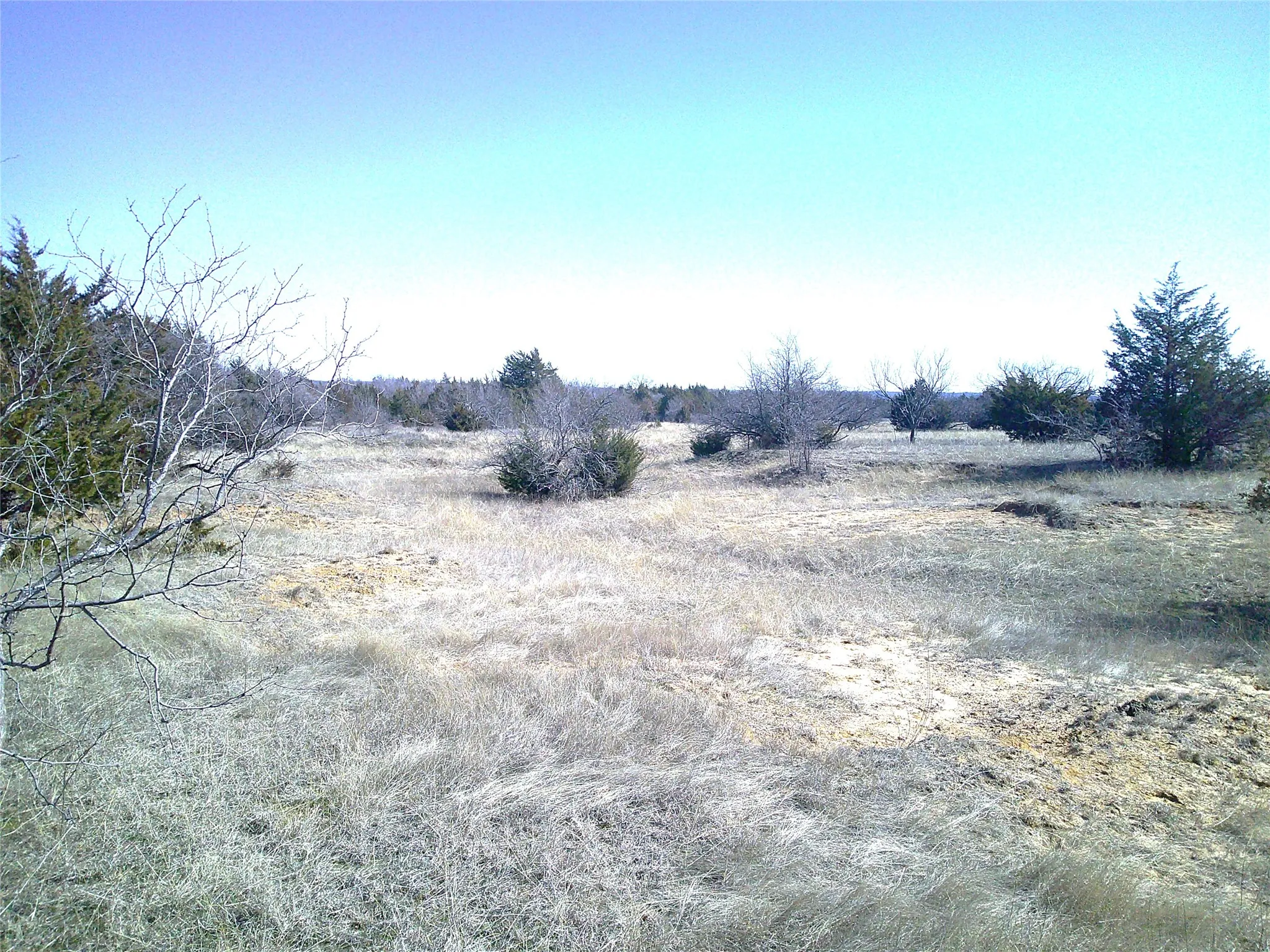 Unimproved Land For Sale in Wise County , Tr 5 CR 1750, Chico, Texas 76431, 0, 0, Garage spaces, 0 Sqft, built in 0, mls#20867567, Real Estate Agent in Chico, Homes For Sale in Wise county, Homes For Sale in Chico, Realtor in Chico Texas, Real Estate Brokerage Independent Realty Texas, Luminita Cordes Realtor
