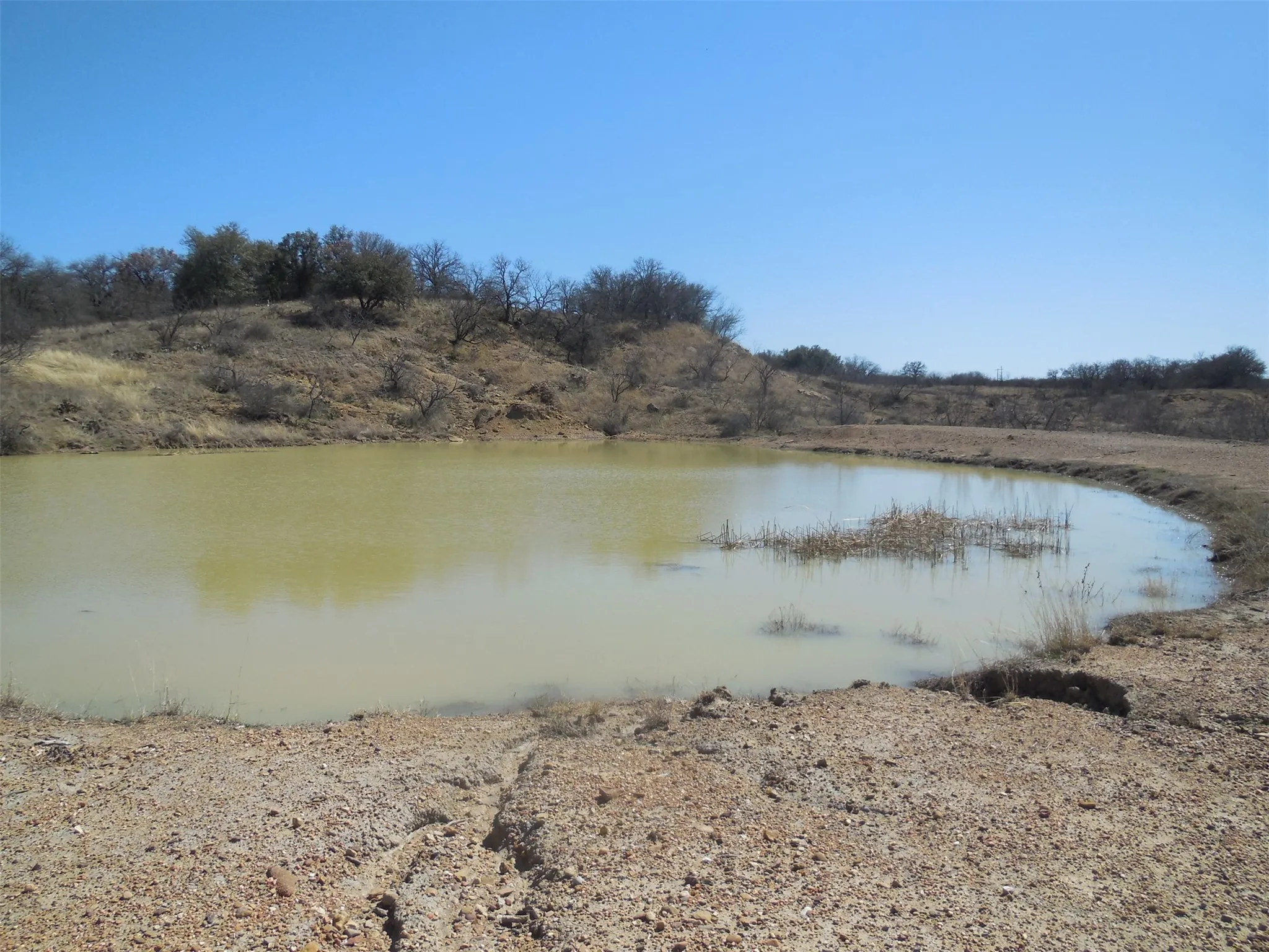 Large stock tank