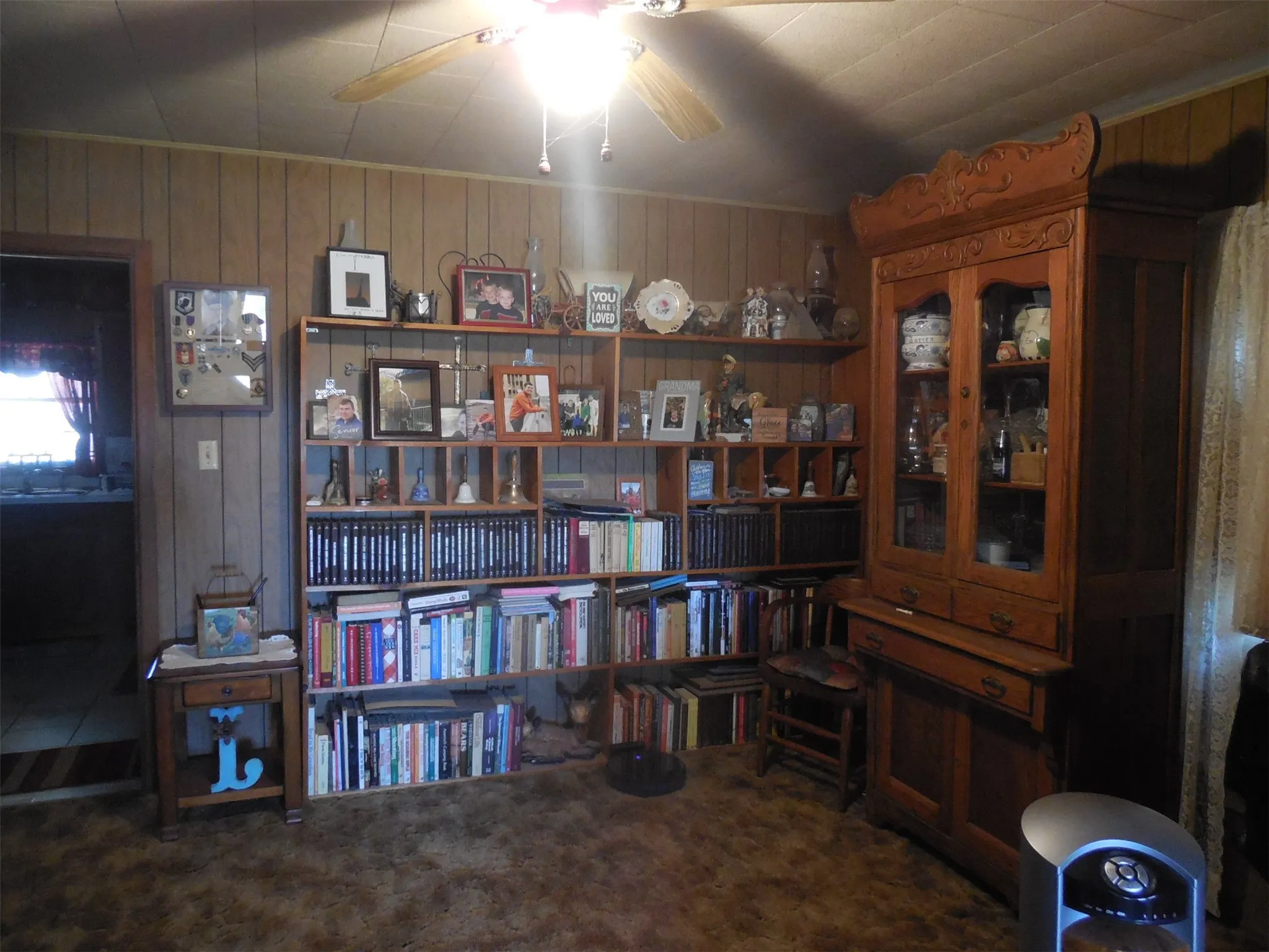 Living area featuring carpet and ceiling fan