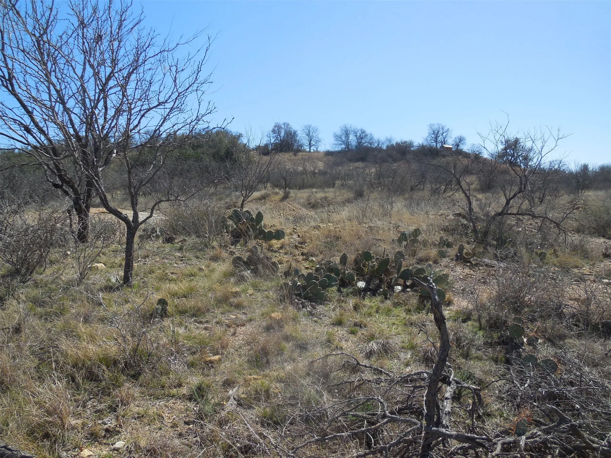 View of nature
