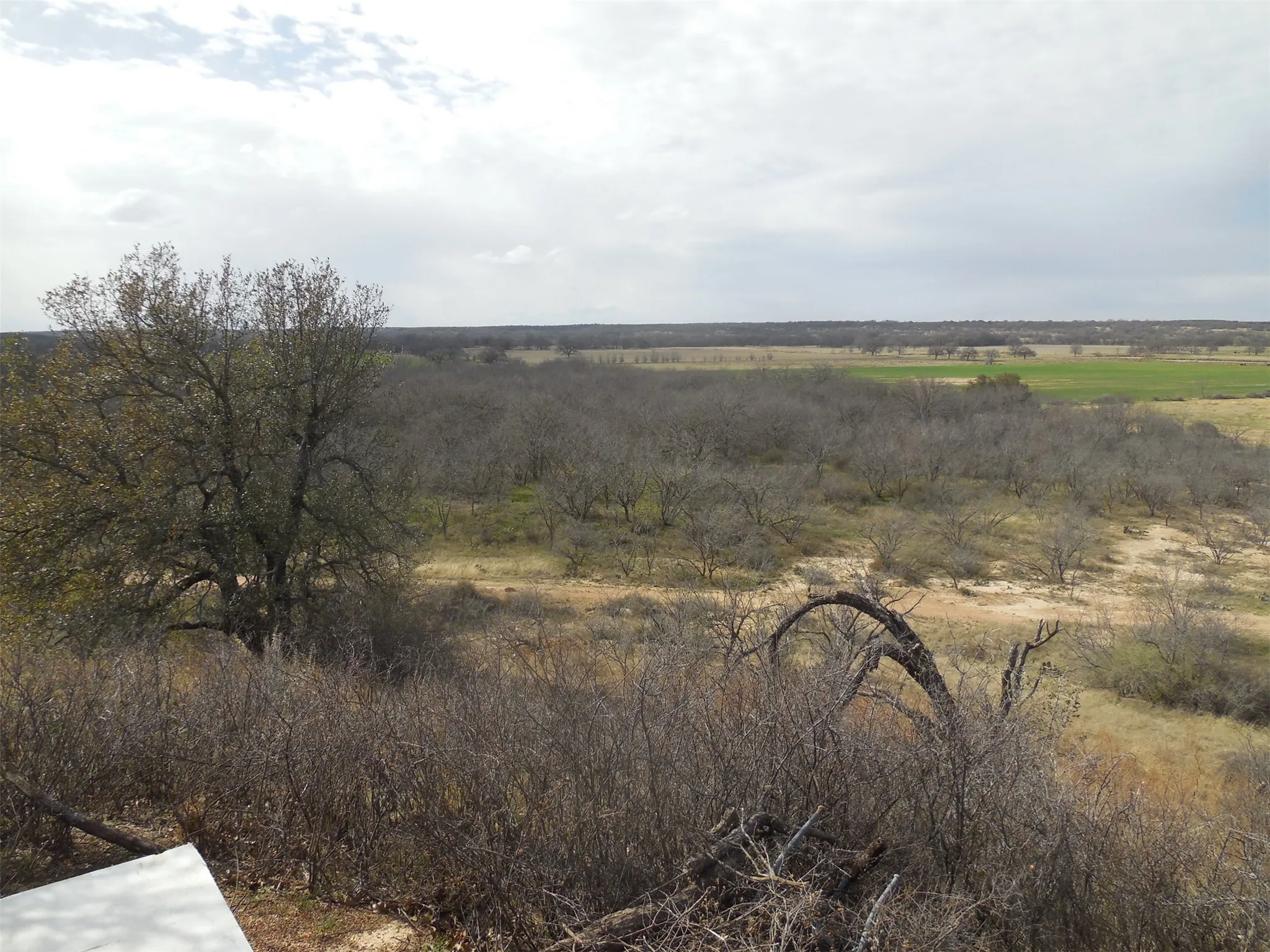 View from top of hill