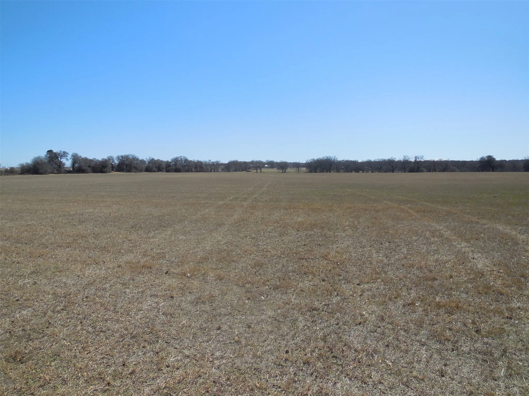 Coastal Field