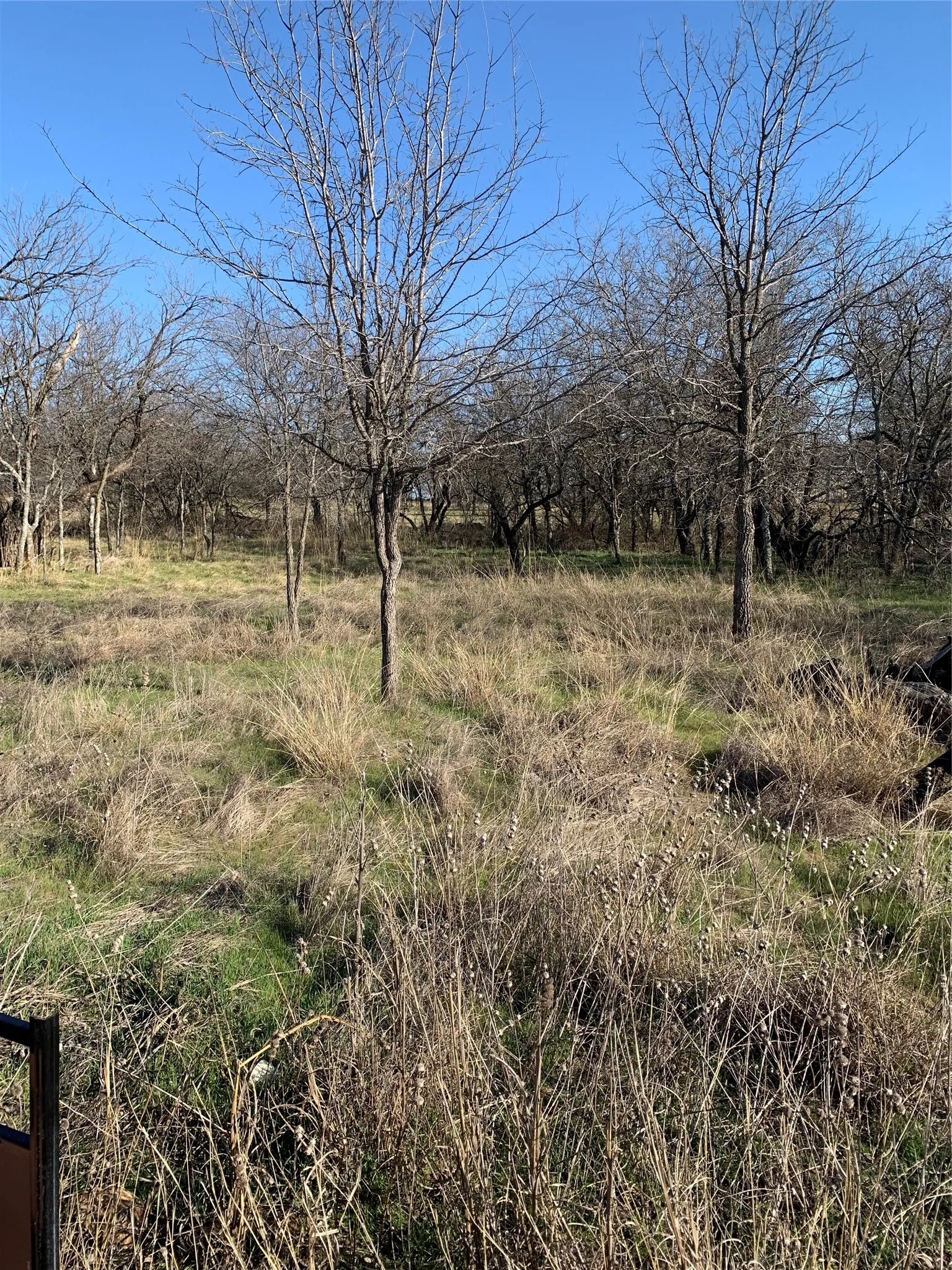 Unimproved Land For Sale in Wise County , Lot 22 Cimmarron Court, Bridgeport, Texas 76426, 0, 0, Garage spaces, 0 Sqft, built in 0, mls#20867768, Real Estate Agent in Bridgeport, Homes For Sale in Wise county, Homes For Sale in Bridgeport, Realtor in Bridgeport Texas, Real Estate Brokerage Independent Realty Texas, Luminita Cordes Realtor