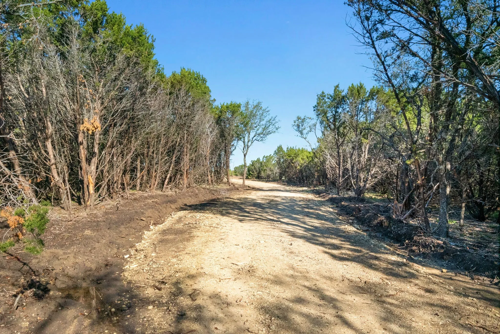 Ranch For Sale in Somervell County , TBD County Road 1012, Glen Rose, Texas 76043, 0, 0, Garage spaces, 0 Sqft, built in 0, mls#20870008, Real Estate Agent in Glen Rose, Homes For Sale in Somervell county, Homes For Sale in Glen Rose, Realtor in Glen Rose Texas, Real Estate Brokerage Independent Realty Texas, Luminita Cordes Realtor