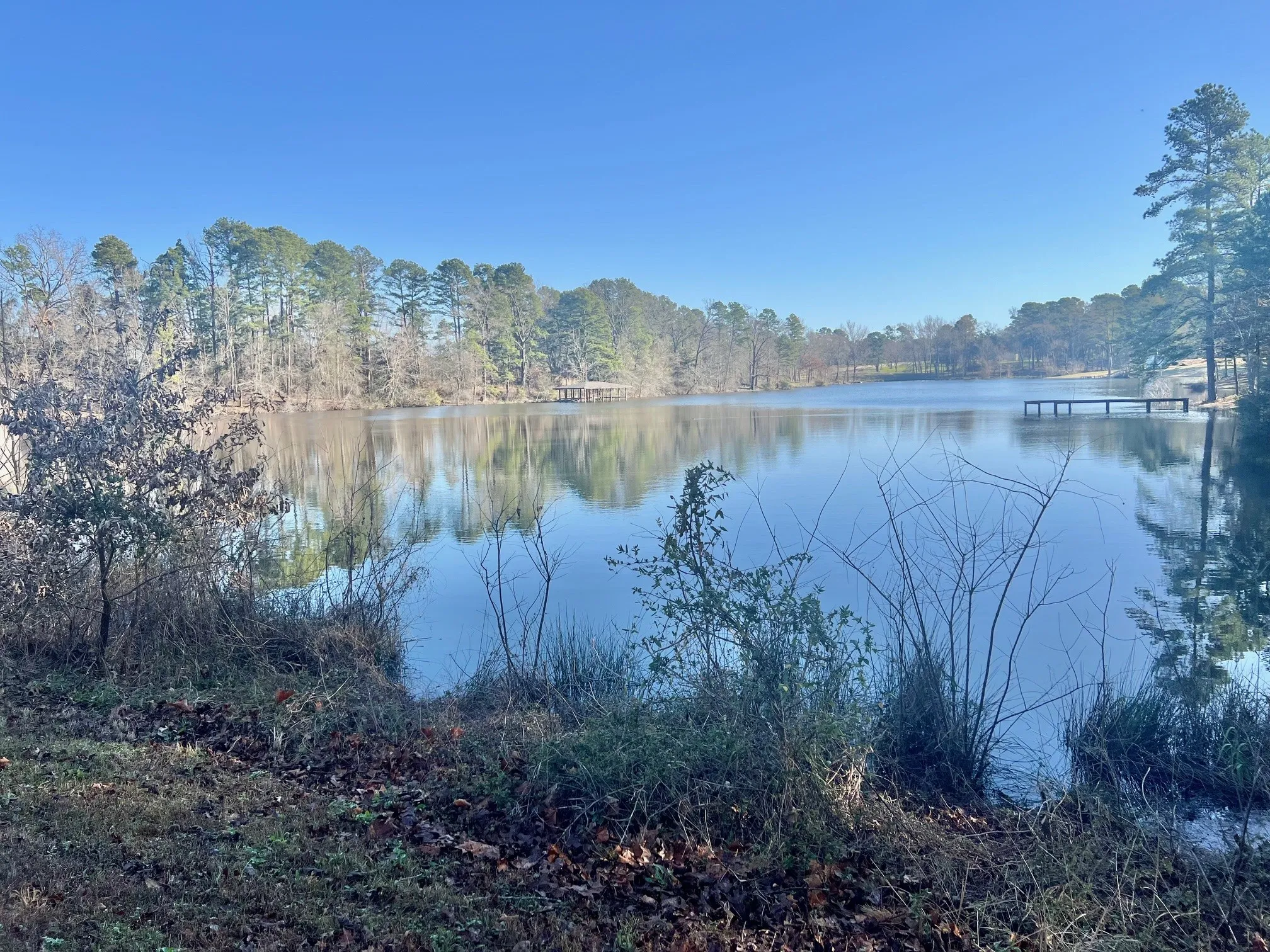 Ranch For Sale in Titus County , TBD CR 1670, Mt Pleasant, Texas 75455, 0, 0, Garage spaces, 0 Sqft, built in 0, mls#20872564, Real Estate Agent in Mt Pleasant, Homes For Sale in Titus county, Homes For Sale in Mt Pleasant, Realtor in Mt Pleasant Texas, Real Estate Brokerage Independent Realty Texas, Luminita Cordes Realtor
