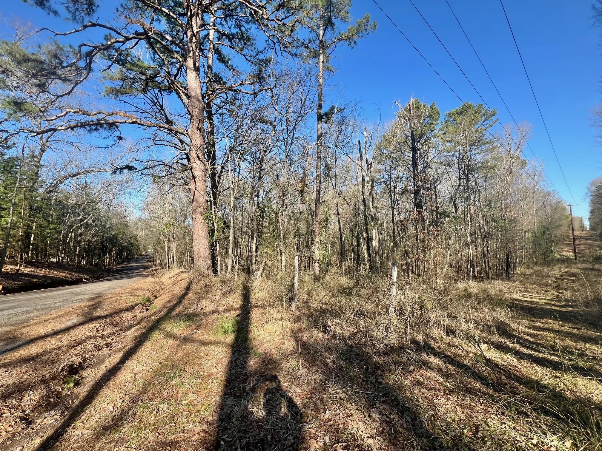 Ranch For Sale in Titus County , TBD CR 1670, Mt Pleasant, Texas 75455, 0, 0, Garage spaces, 0 Sqft, built in 0, mls#20872564, Real Estate Agent in Mt Pleasant, Homes For Sale in Titus county, Homes For Sale in Mt Pleasant, Realtor in Mt Pleasant Texas, Real Estate Brokerage Independent Realty Texas, Luminita Cordes Realtor