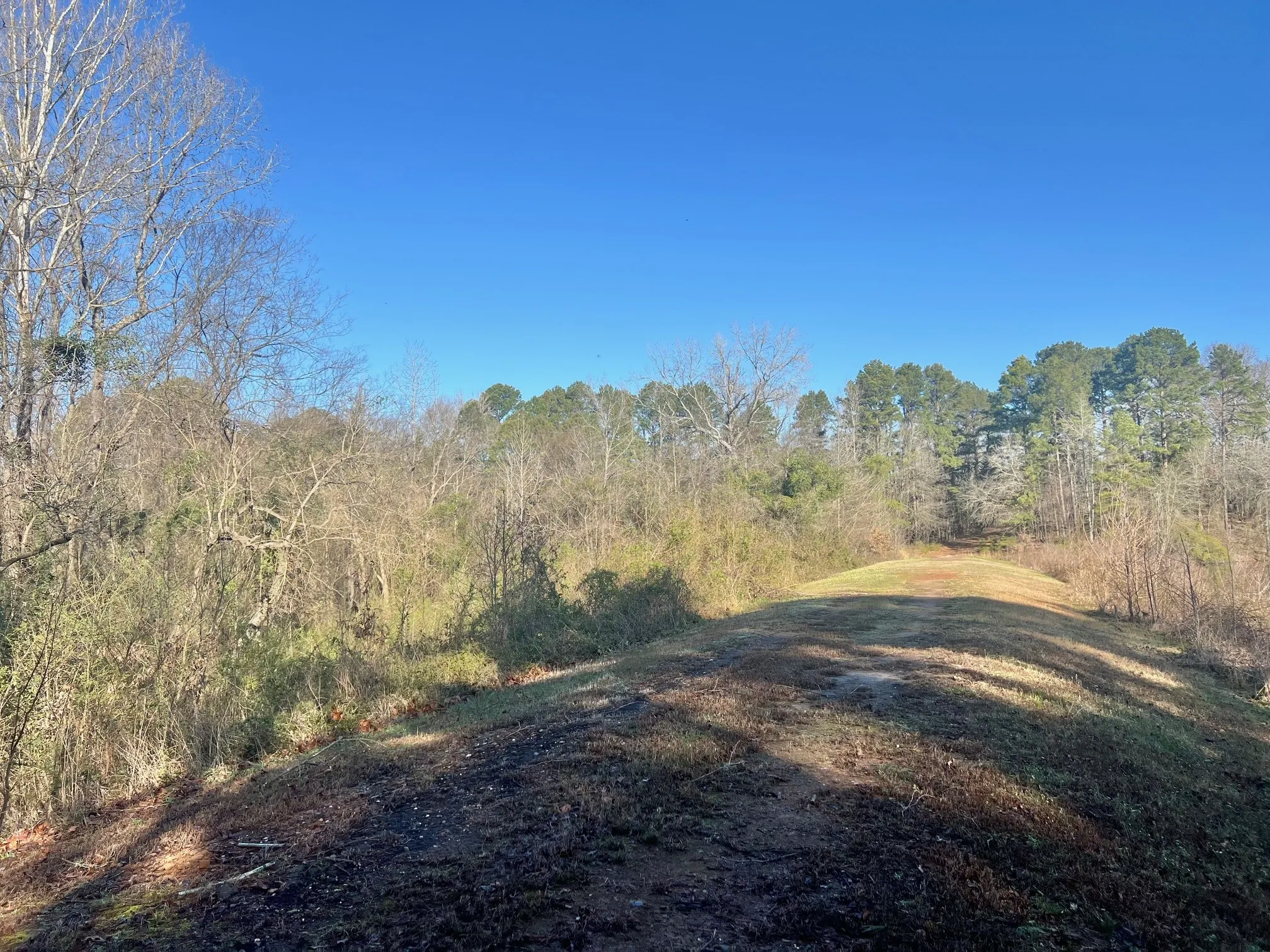 View of landscape featuring a wooded view