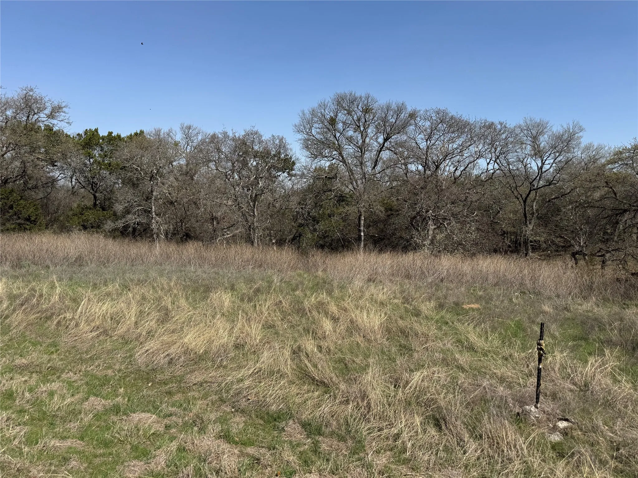 Unimproved Land For Sale in Hill County , 10053 Bluffview Court, Whitney, Texas 76692, 0, 0, Garage spaces, 0 Sqft, built in 0, Price $10,000, mls#20871368, Real Estate Agent in Whitney, Homes For Sale in Hill county, Homes For Sale in Whitney, Realtor in Whitney Texas, Real Estate Brokerage Independent Realty Texas, Luminita Cordes Realtor