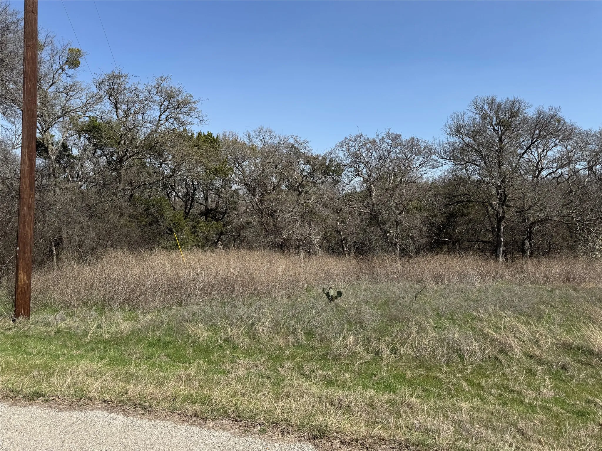Unimproved Land For Sale in Hill County , 10053 Bluffview Court, Whitney, Texas 76692, 0, 0, Garage spaces, 0 Sqft, built in 0, Price $10,000, mls#20871368, Real Estate Agent in Whitney, Homes For Sale in Hill county, Homes For Sale in Whitney, Realtor in Whitney Texas, Real Estate Brokerage Independent Realty Texas, Luminita Cordes Realtor