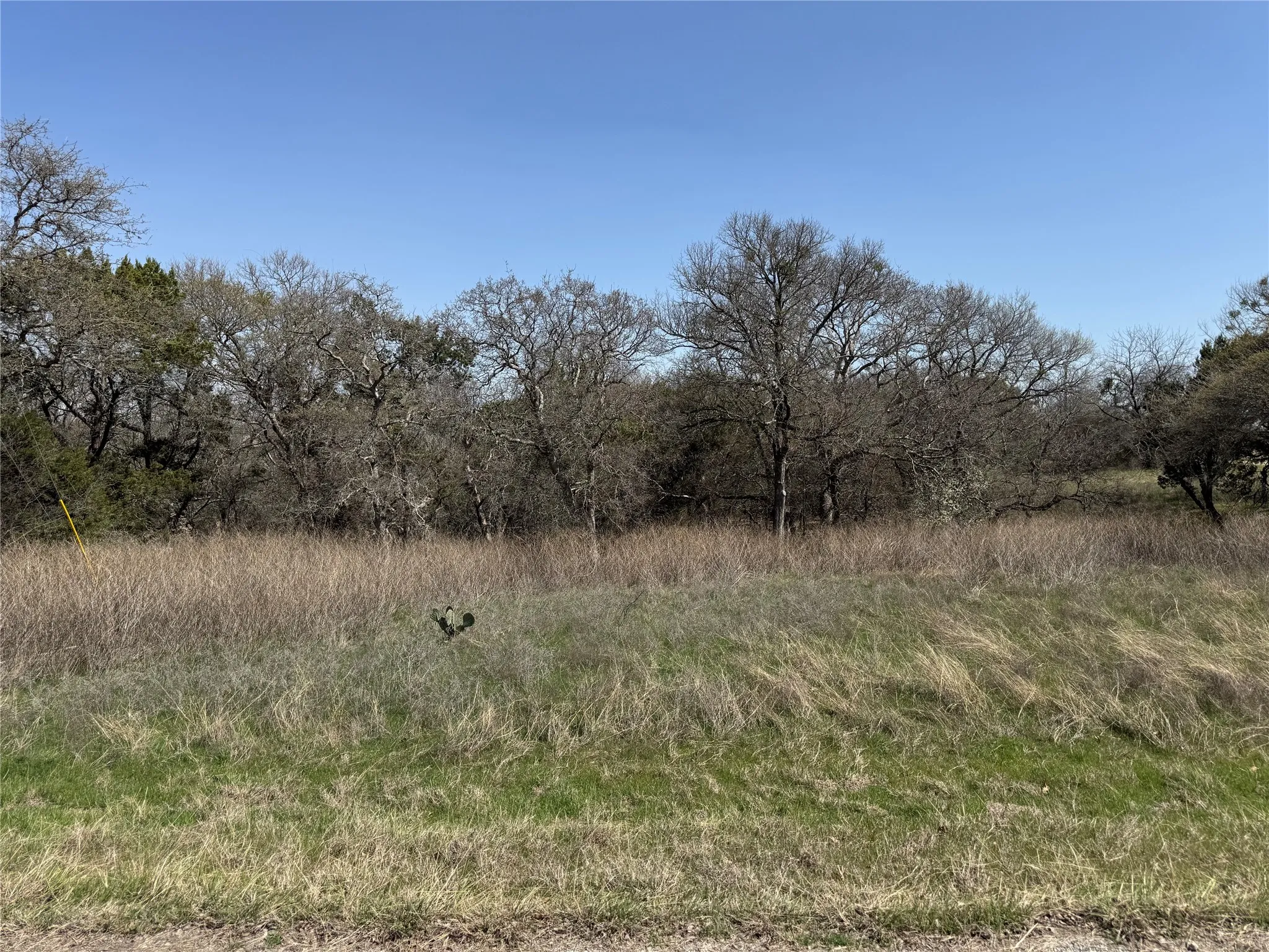 Unimproved Land For Sale in Hill County , 10053 Bluffview Court, Whitney, Texas 76692, 0, 0, Garage spaces, 0 Sqft, built in 0, Price $10,000, mls#20871368, Real Estate Agent in Whitney, Homes For Sale in Hill county, Homes For Sale in Whitney, Realtor in Whitney Texas, Real Estate Brokerage Independent Realty Texas, Luminita Cordes Realtor