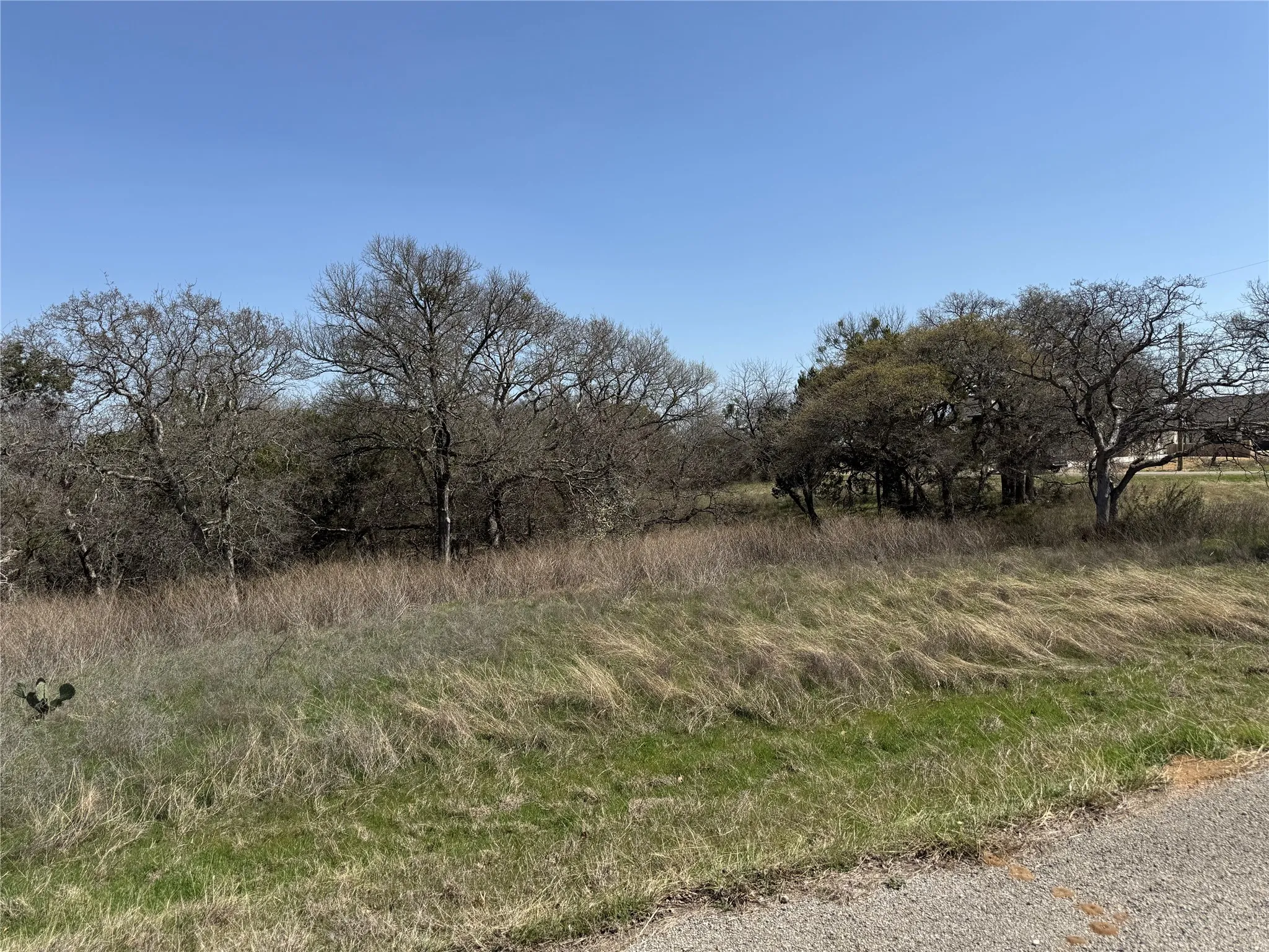 Unimproved Land For Sale in Hill County , 10053 Bluffview Court, Whitney, Texas 76692, 0, 0, Garage spaces, 0 Sqft, built in 0, Price $10,000, mls#20871368, Real Estate Agent in Whitney, Homes For Sale in Hill county, Homes For Sale in Whitney, Realtor in Whitney Texas, Real Estate Brokerage Independent Realty Texas, Luminita Cordes Realtor