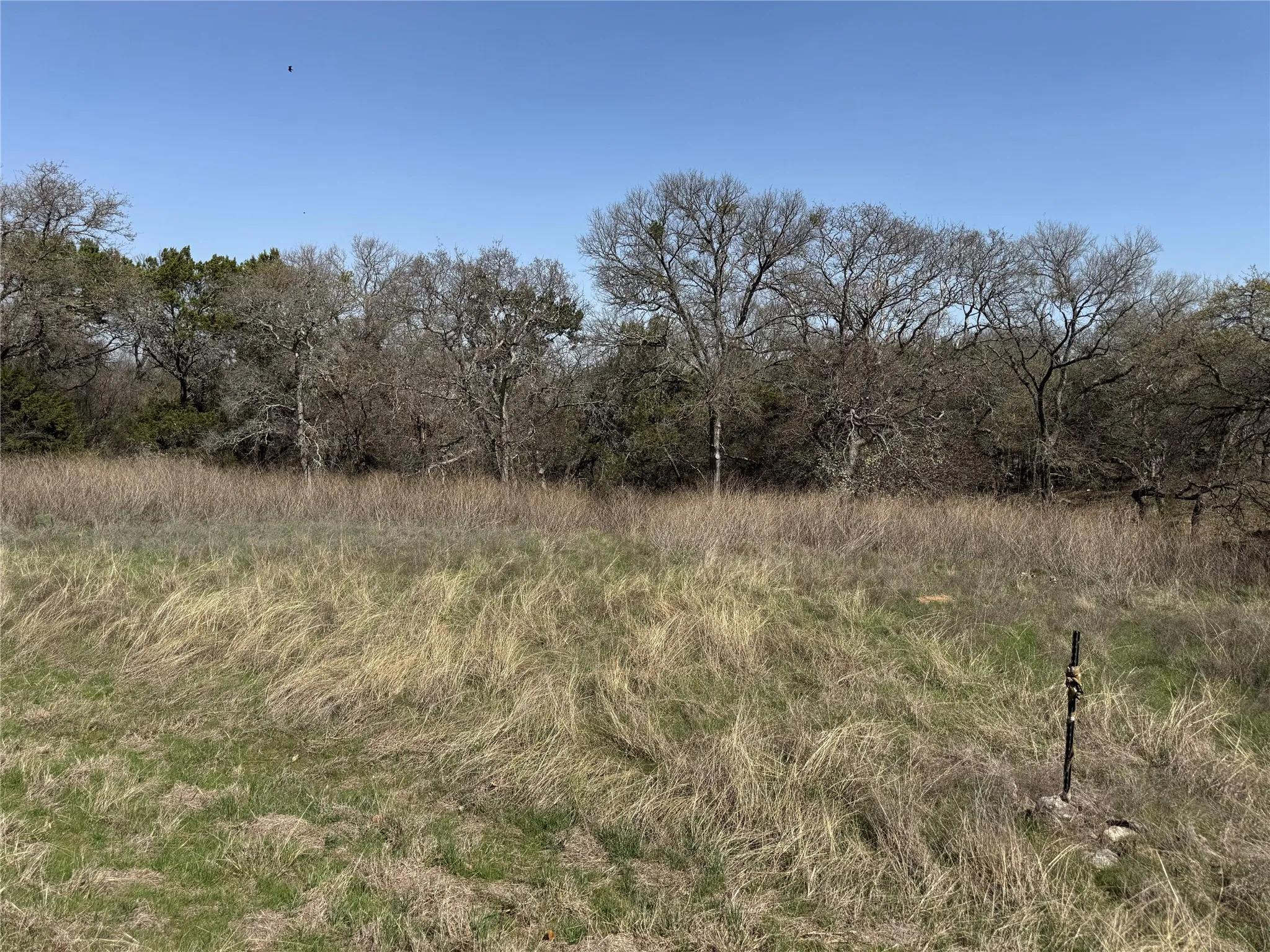 Unimproved Land For Sale in Hill County , 10053 Bluffview Court, Whitney, Texas 76692, 0, 0, Garage spaces, 0 Sqft, built in 0, Price $10,000, mls#20871368, Real Estate Agent in Whitney, Homes For Sale in Hill county, Homes For Sale in Whitney, Realtor in Whitney Texas, Real Estate Brokerage Independent Realty Texas, Luminita Cordes Realtor