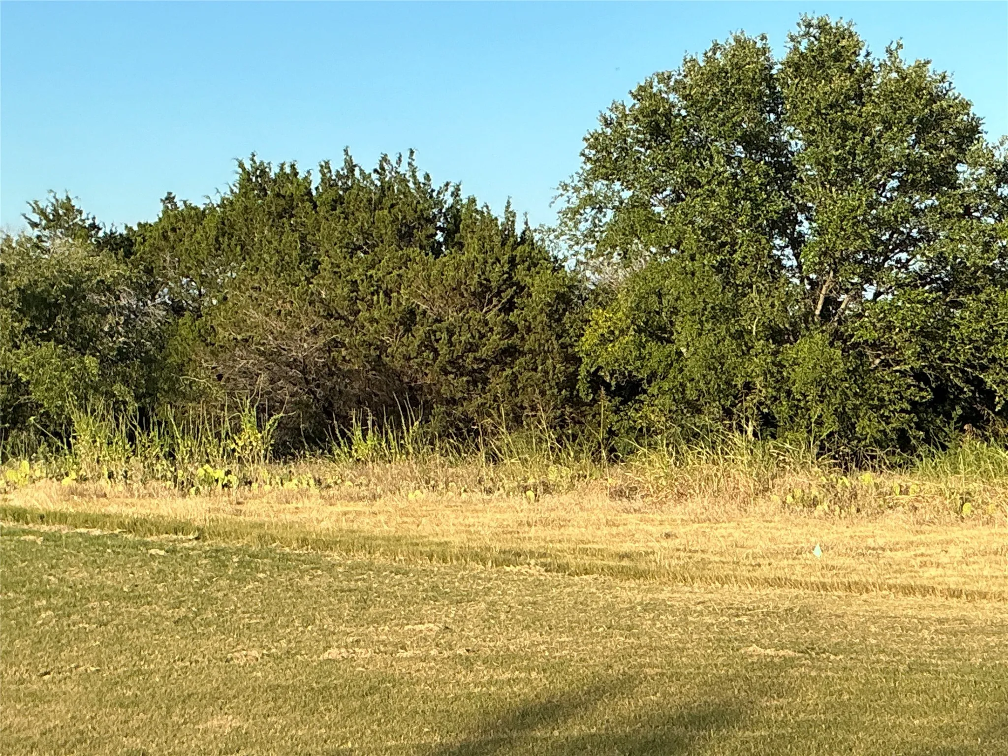 Unimproved Land For Sale in Hill County , 16021 Faircrest Drive, Whitney, Texas 76692, 0, 0, Garage spaces, 0 Sqft, built in 0, Price $25,000, mls#20868375, Real Estate Agent in Whitney, Homes For Sale in Hill county, Homes For Sale in Whitney, Realtor in Whitney Texas, Real Estate Brokerage Independent Realty Texas, Luminita Cordes Realtor