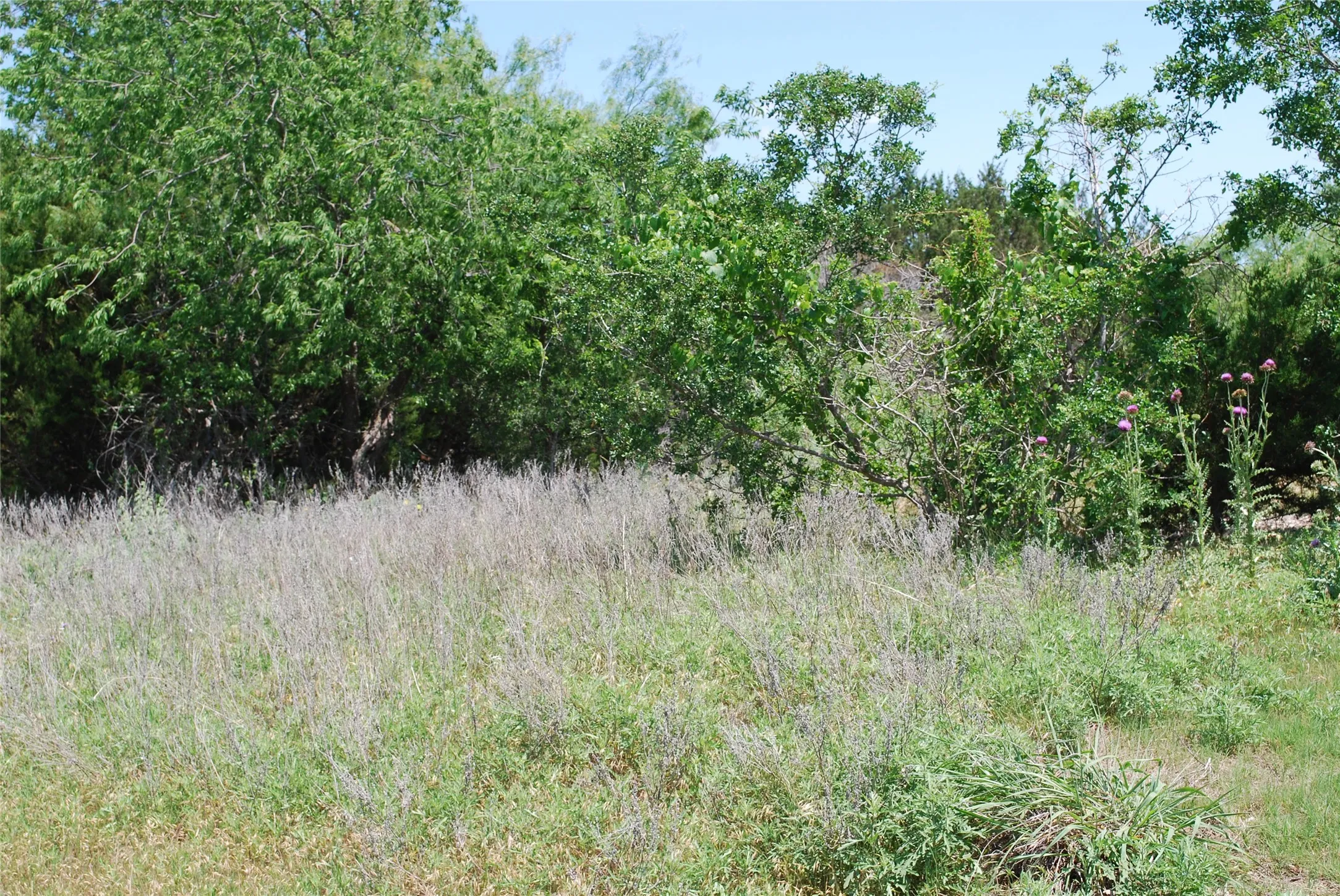 Unimproved Land For Sale in Hill County , 16021 Faircrest Drive, Whitney, Texas 76692, 0, 0, Garage spaces, 0 Sqft, built in 0, Price $25,000, mls#20868375, Real Estate Agent in Whitney, Homes For Sale in Hill county, Homes For Sale in Whitney, Realtor in Whitney Texas, Real Estate Brokerage Independent Realty Texas, Luminita Cordes Realtor