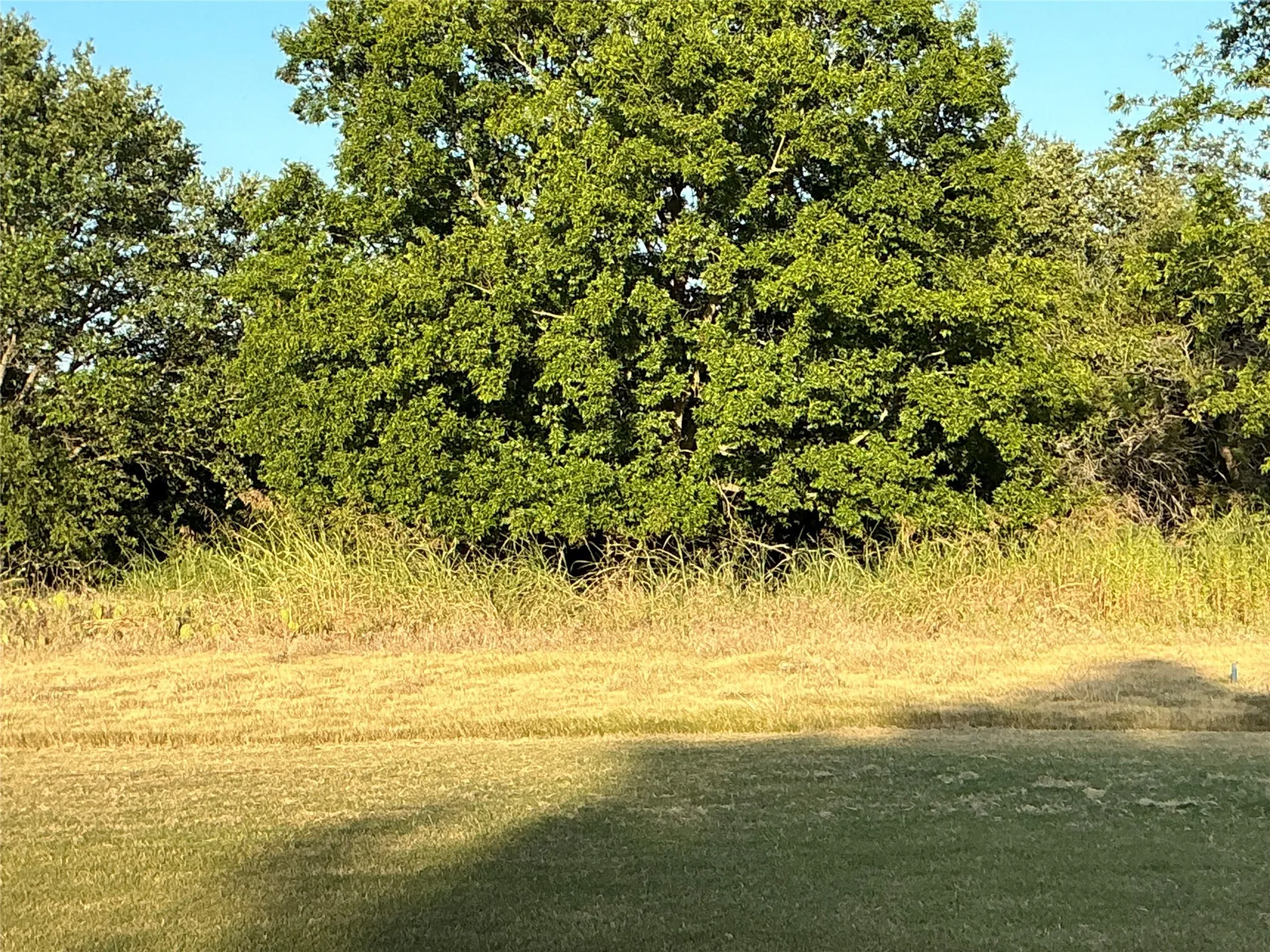 Unimproved Land For Sale in Hill County , 16021 Faircrest Drive, Whitney, Texas 76692, 0, 0, Garage spaces, 0 Sqft, built in 0, Price $25,000, mls#20868375, Real Estate Agent in Whitney, Homes For Sale in Hill county, Homes For Sale in Whitney, Realtor in Whitney Texas, Real Estate Brokerage Independent Realty Texas, Luminita Cordes Realtor