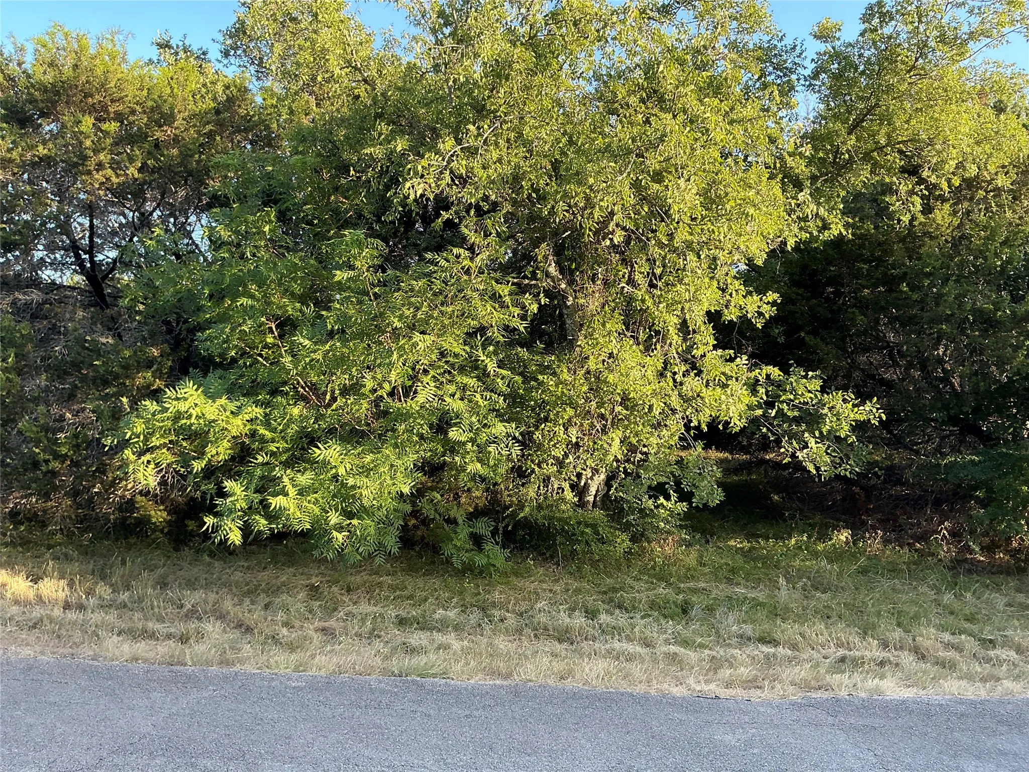 Unimproved Land For Sale in Hill County , 16021 Faircrest Drive, Whitney, Texas 76692, 0, 0, Garage spaces, 0 Sqft, built in 0, Price $25,000, mls#20868375, Real Estate Agent in Whitney, Homes For Sale in Hill county, Homes For Sale in Whitney, Realtor in Whitney Texas, Real Estate Brokerage Independent Realty Texas, Luminita Cordes Realtor