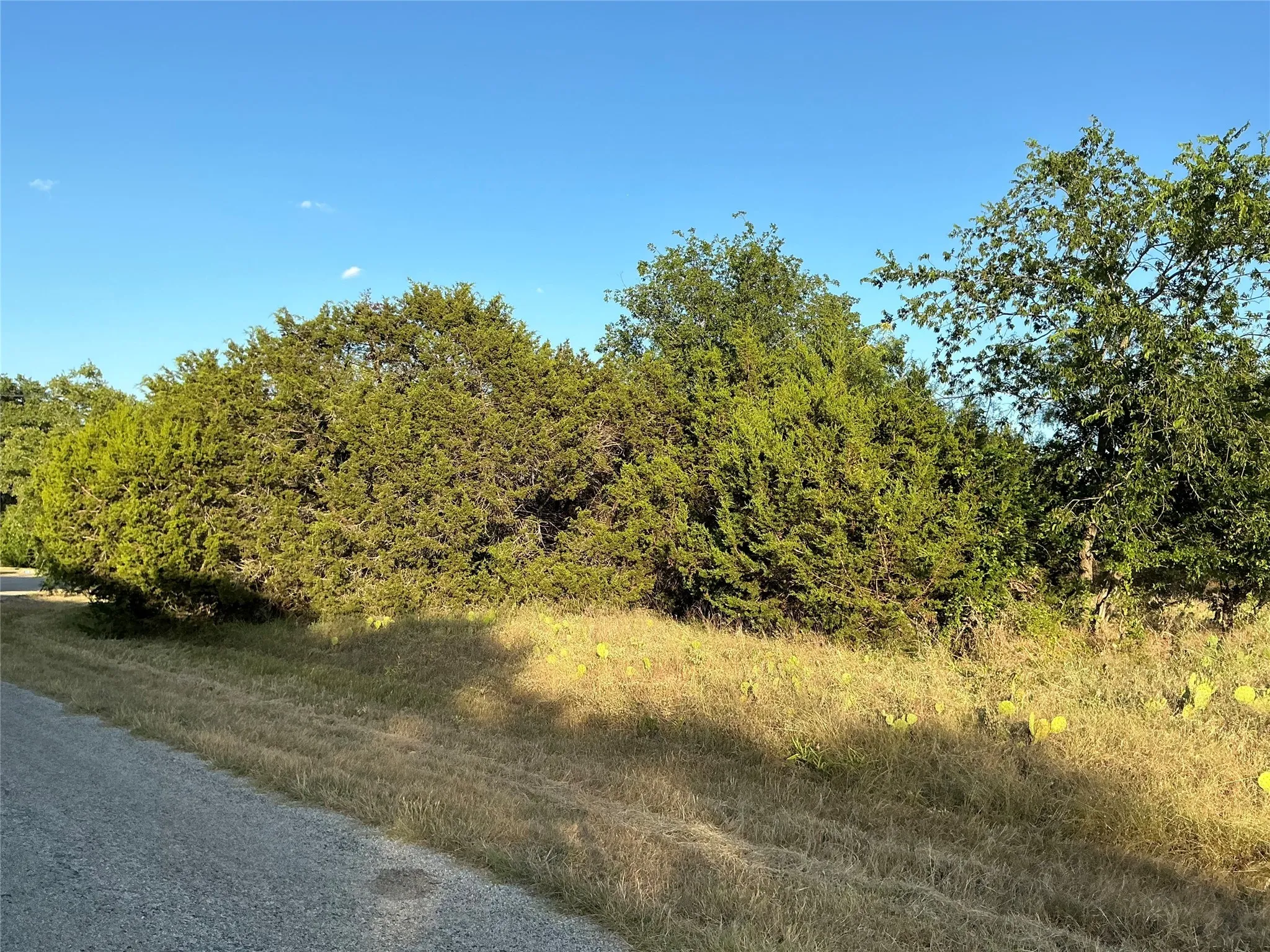 Unimproved Land For Sale in Hill County , 16021 Faircrest Drive, Whitney, Texas 76692, 0, 0, Garage spaces, 0 Sqft, built in 0, Price $25,000, mls#20868375, Real Estate Agent in Whitney, Homes For Sale in Hill county, Homes For Sale in Whitney, Realtor in Whitney Texas, Real Estate Brokerage Independent Realty Texas, Luminita Cordes Realtor