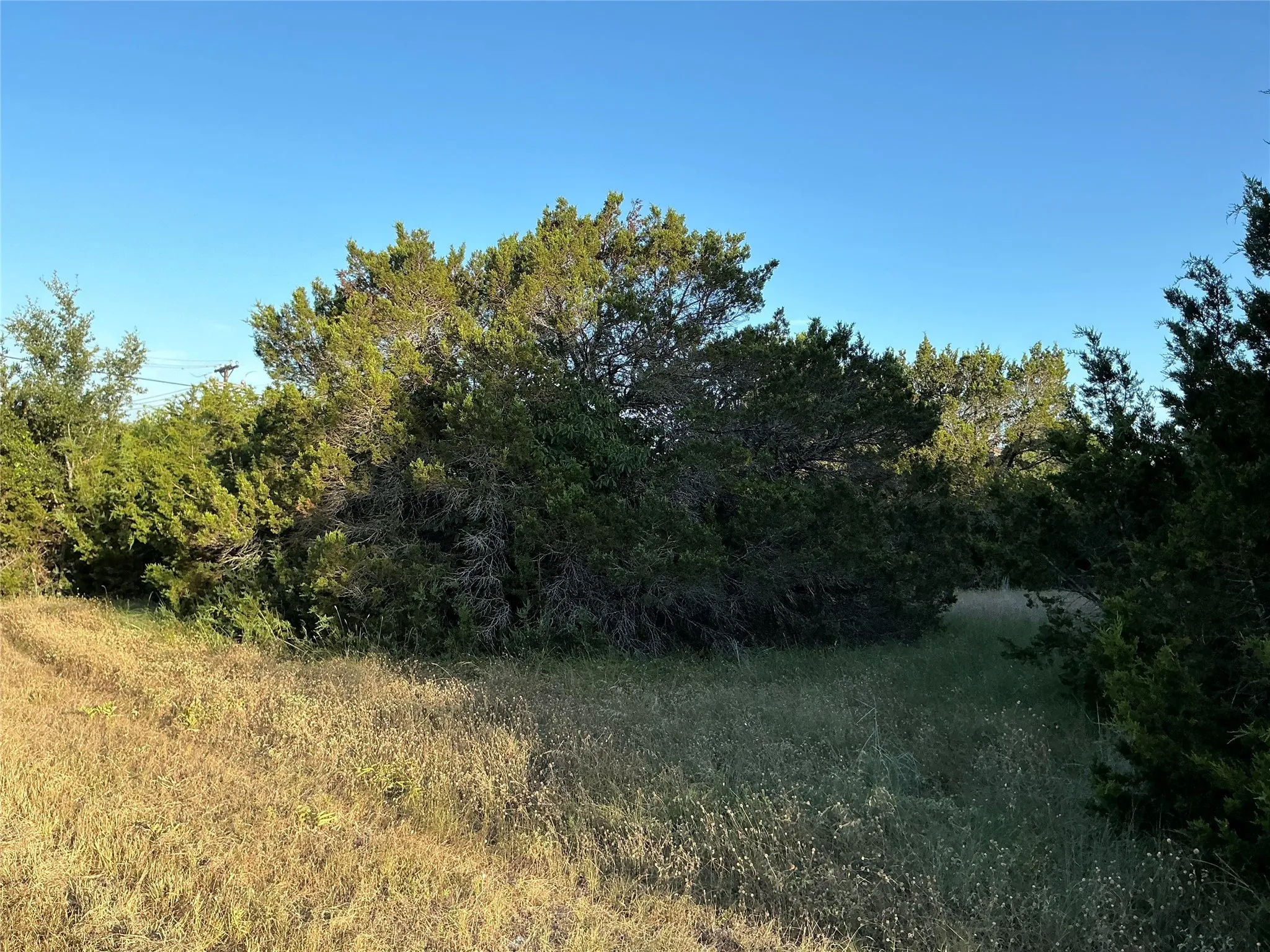 Unimproved Land For Sale in Hill County , 16021 Faircrest Drive, Whitney, Texas 76692, 0, 0, Garage spaces, 0 Sqft, built in 0, Price $25,000, mls#20868375, Real Estate Agent in Whitney, Homes For Sale in Hill county, Homes For Sale in Whitney, Realtor in Whitney Texas, Real Estate Brokerage Independent Realty Texas, Luminita Cordes Realtor