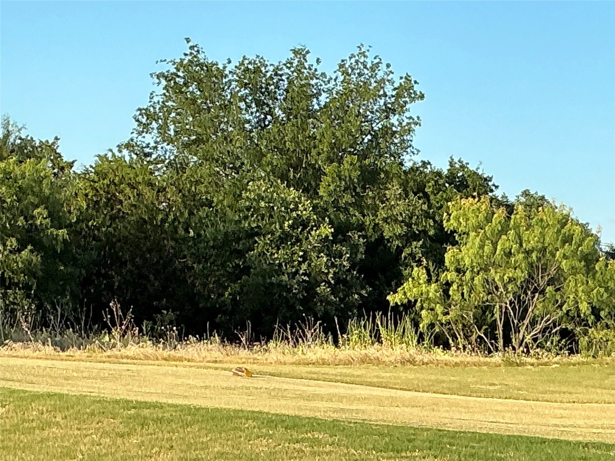 Unimproved Land For Sale in Hill County , 16021 Faircrest Drive, Whitney, Texas 76692, 0, 0, Garage spaces, 0 Sqft, built in 0, Price $25,000, mls#20868375, Real Estate Agent in Whitney, Homes For Sale in Hill county, Homes For Sale in Whitney, Realtor in Whitney Texas, Real Estate Brokerage Independent Realty Texas, Luminita Cordes Realtor