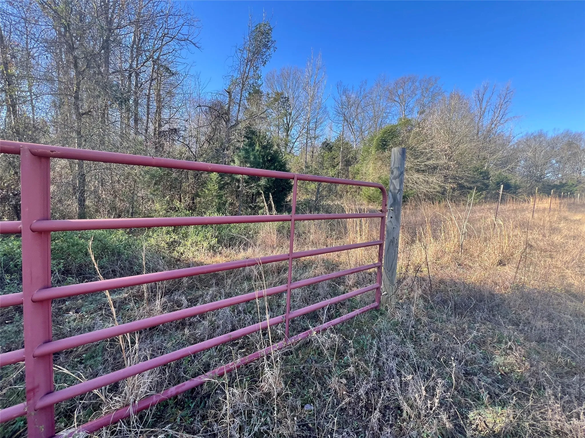 View of gate