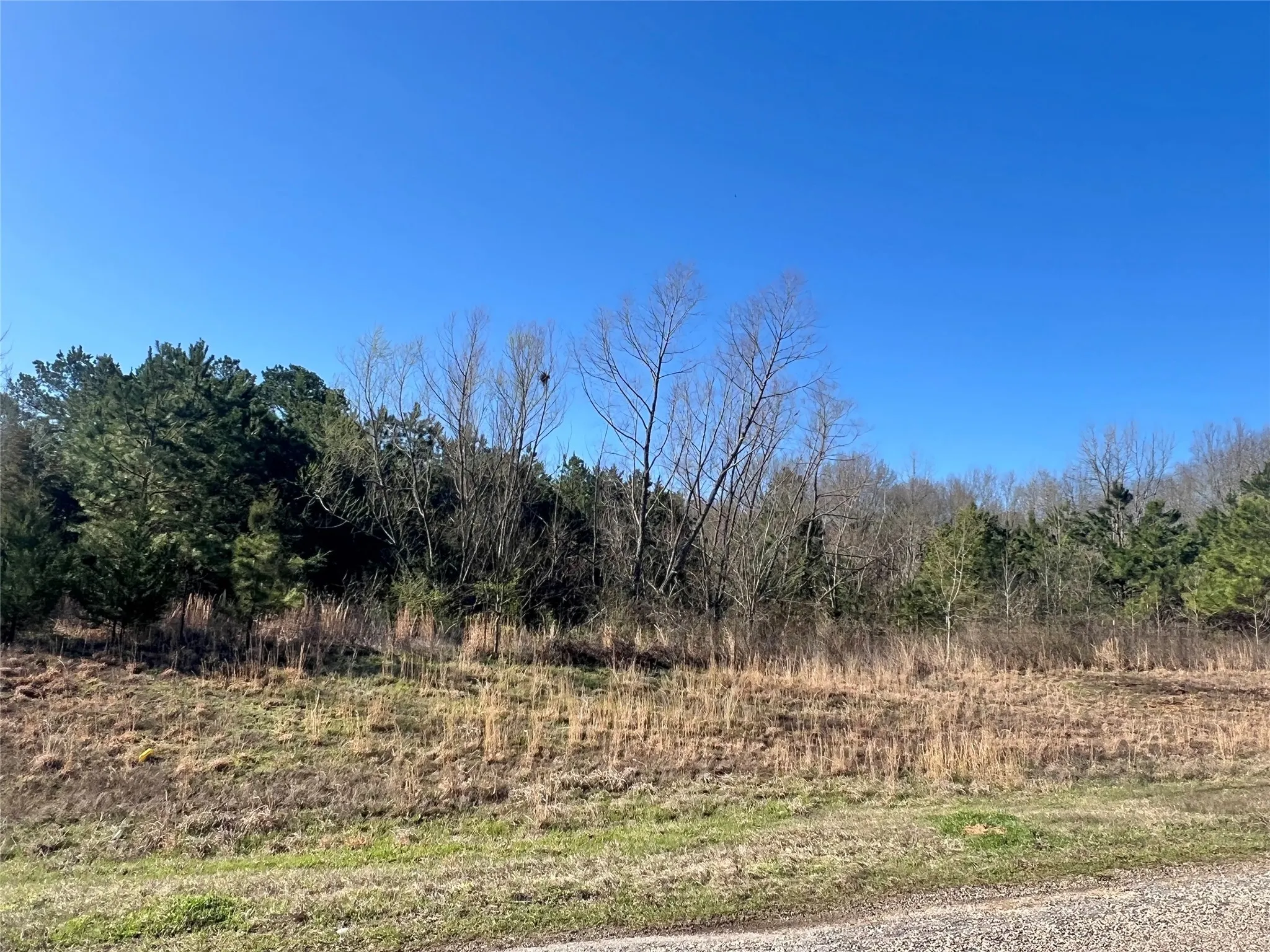 Unimproved Land For Sale in Titus County , TBD CR 1400, Mt Pleasant, Texas 75455, 0, 0, Garage spaces, 0 Sqft, built in 0, Price $543,250, mls#20872739, Real Estate Agent in Mt Pleasant, Homes For Sale in Titus county, Homes For Sale in Mt Pleasant, Realtor in Mt Pleasant Texas, Real Estate Brokerage Independent Realty Texas, Luminita Cordes Realtor