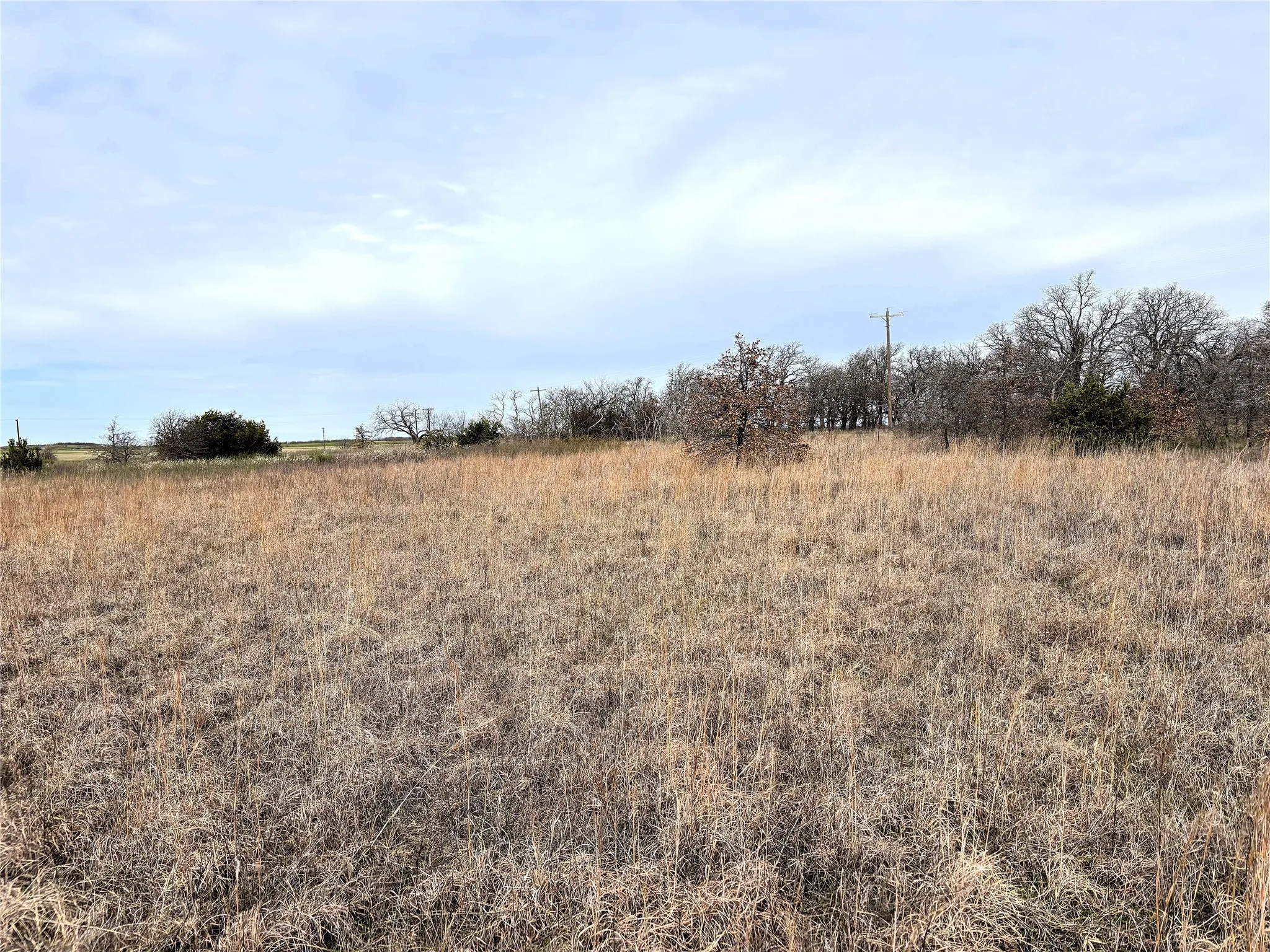 Unimproved Land For Sale in Clay County , 8.39 Acres FM 174, Henrietta, Texas 76365, 0, 0, Garage spaces, 0 Sqft, built in 0, Price $89,000, mls#20869998, Real Estate Agent in Henrietta, Homes For Sale in Clay county, Homes For Sale in Henrietta, Realtor in Henrietta Texas, Real Estate Brokerage Independent Realty Texas, Luminita Cordes Realtor