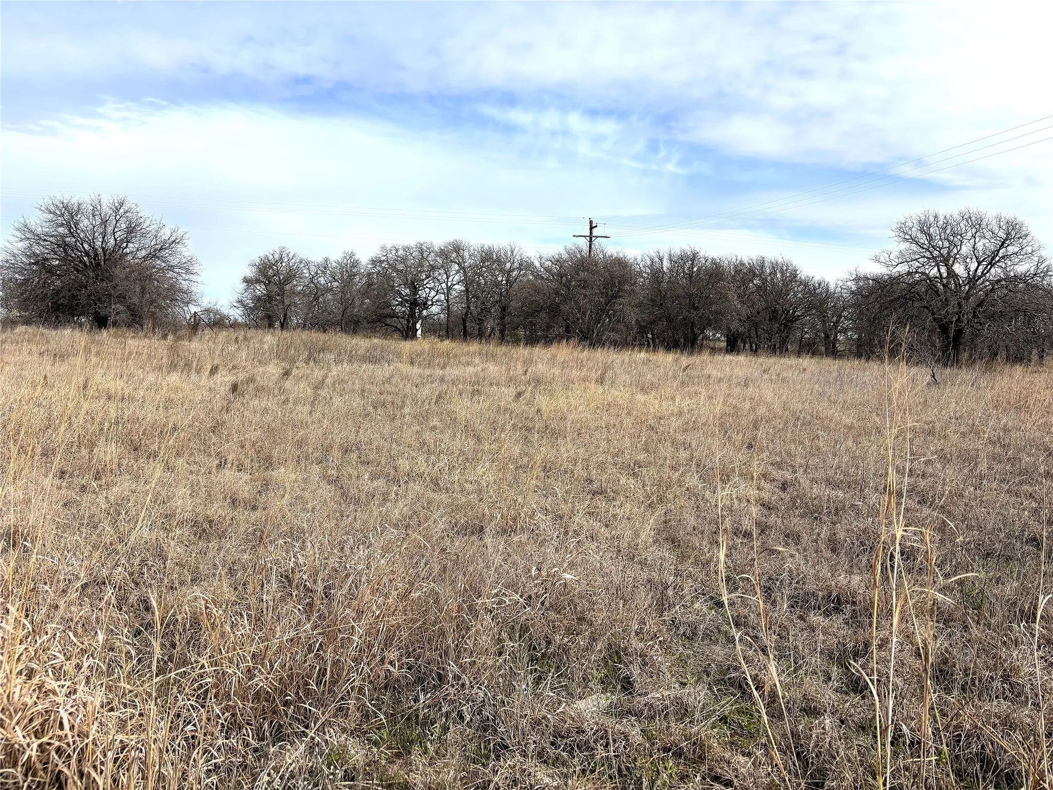 Unimproved Land For Sale in Clay County , 8.39 Acres FM 174, Henrietta, Texas 76365, 0, 0, Garage spaces, 0 Sqft, built in 0, Price $89,000, mls#20869998, Real Estate Agent in Henrietta, Homes For Sale in Clay county, Homes For Sale in Henrietta, Realtor in Henrietta Texas, Real Estate Brokerage Independent Realty Texas, Luminita Cordes Realtor