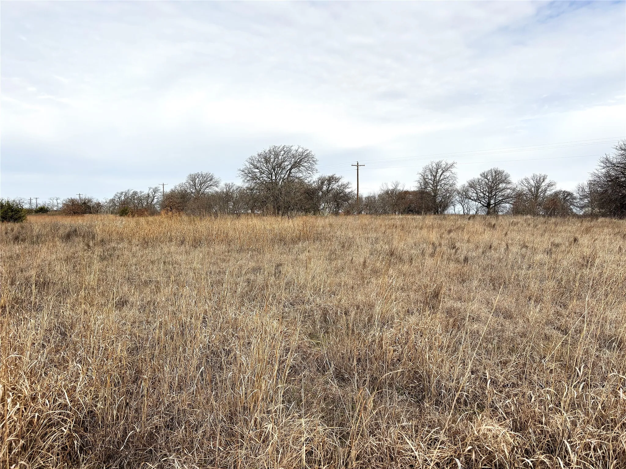 Unimproved Land For Sale in Clay County , 8.39 Acres FM 174, Henrietta, Texas 76365, 0, 0, Garage spaces, 0 Sqft, built in 0, Price $89,000, mls#20869998, Real Estate Agent in Henrietta, Homes For Sale in Clay county, Homes For Sale in Henrietta, Realtor in Henrietta Texas, Real Estate Brokerage Independent Realty Texas, Luminita Cordes Realtor