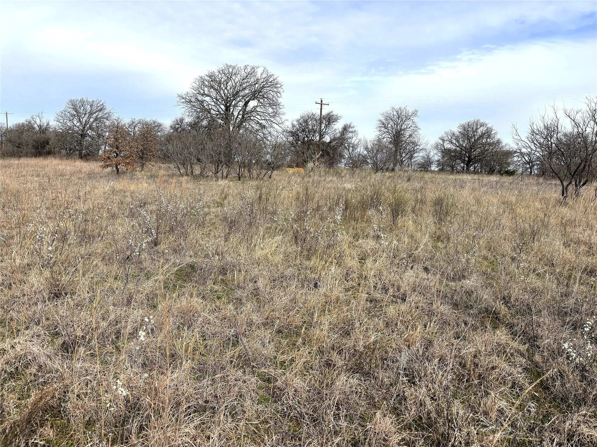 Unimproved Land For Sale in Clay County , 8.39 Acres FM 174, Henrietta, Texas 76365, 0, 0, Garage spaces, 0 Sqft, built in 0, Price $89,000, mls#20869998, Real Estate Agent in Henrietta, Homes For Sale in Clay county, Homes For Sale in Henrietta, Realtor in Henrietta Texas, Real Estate Brokerage Independent Realty Texas, Luminita Cordes Realtor