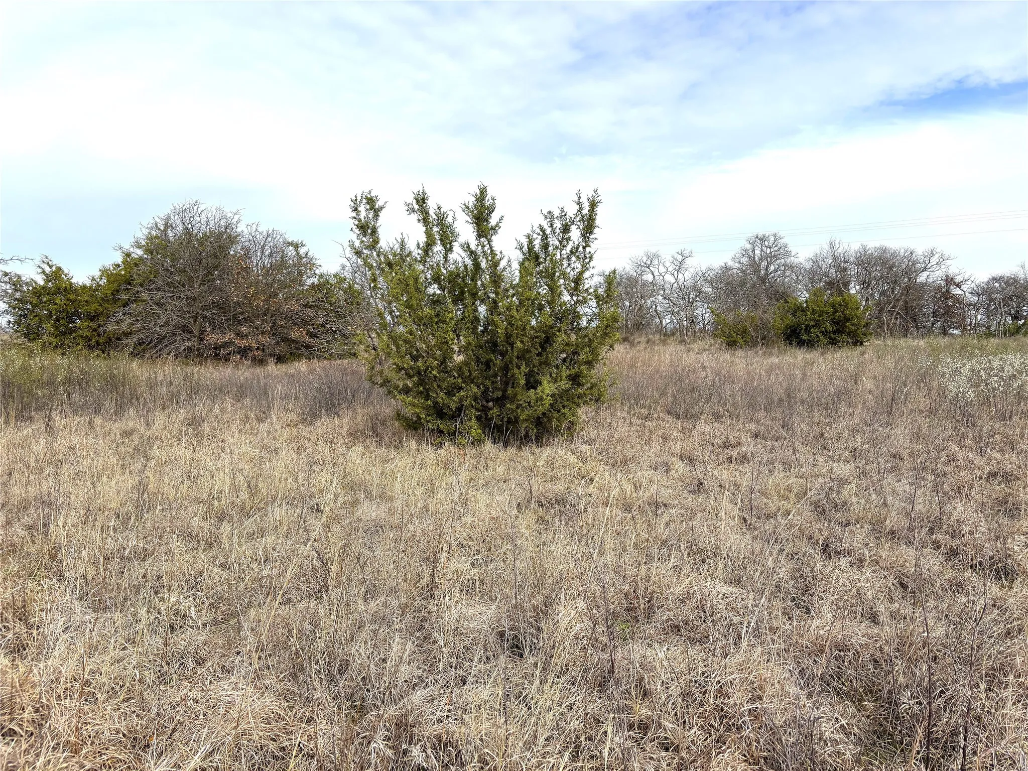 Unimproved Land For Sale in Clay County , 8.39 Acres FM 174, Henrietta, Texas 76365, 0, 0, Garage spaces, 0 Sqft, built in 0, Price $89,000, mls#20869998, Real Estate Agent in Henrietta, Homes For Sale in Clay county, Homes For Sale in Henrietta, Realtor in Henrietta Texas, Real Estate Brokerage Independent Realty Texas, Luminita Cordes Realtor