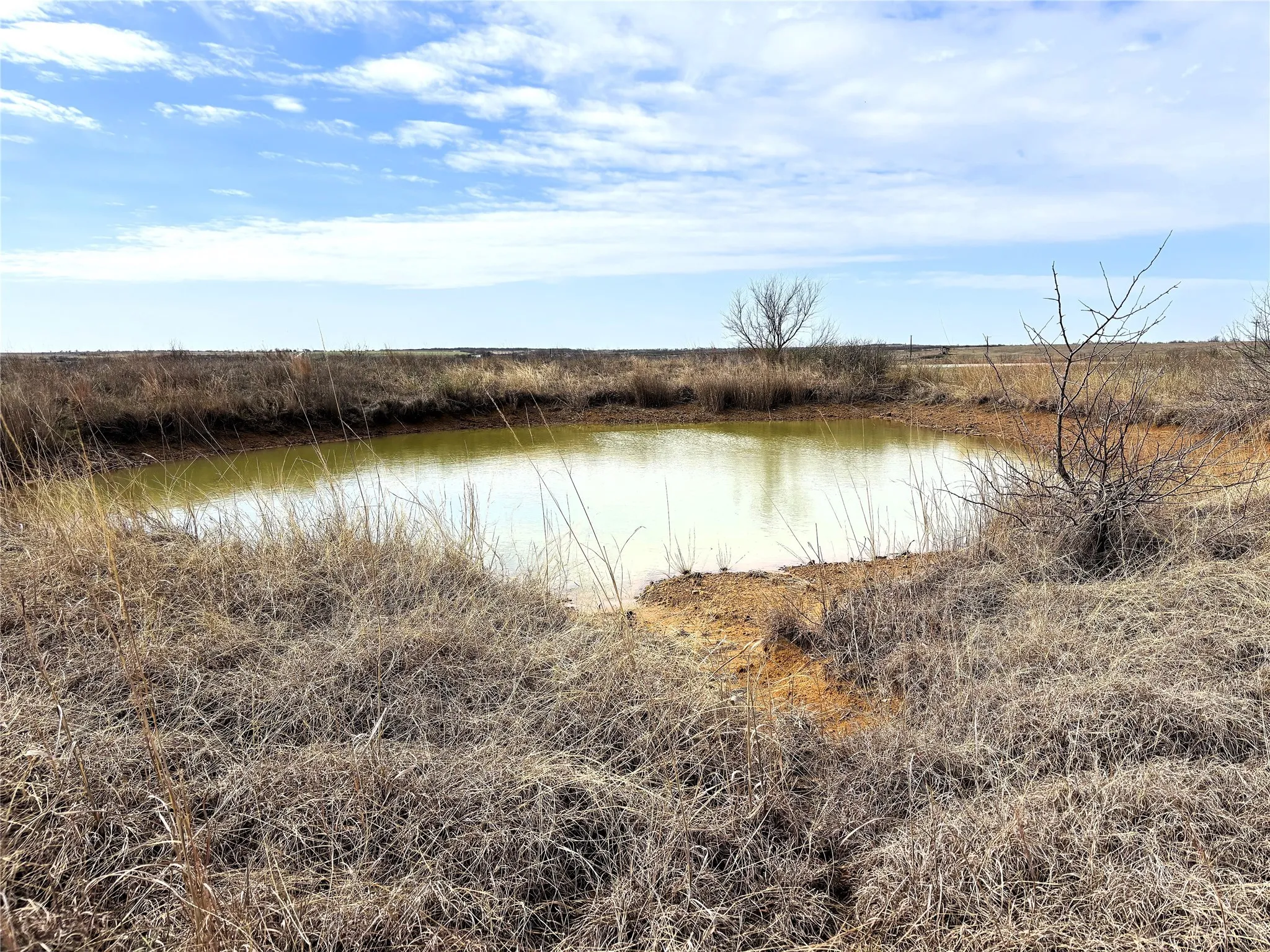 Unimproved Land For Sale in Clay County , 8.39 Acres FM 174, Henrietta, Texas 76365, 0, 0, Garage spaces, 0 Sqft, built in 0, Price $89,000, mls#20869998, Real Estate Agent in Henrietta, Homes For Sale in Clay county, Homes For Sale in Henrietta, Realtor in Henrietta Texas, Real Estate Brokerage Independent Realty Texas, Luminita Cordes Realtor