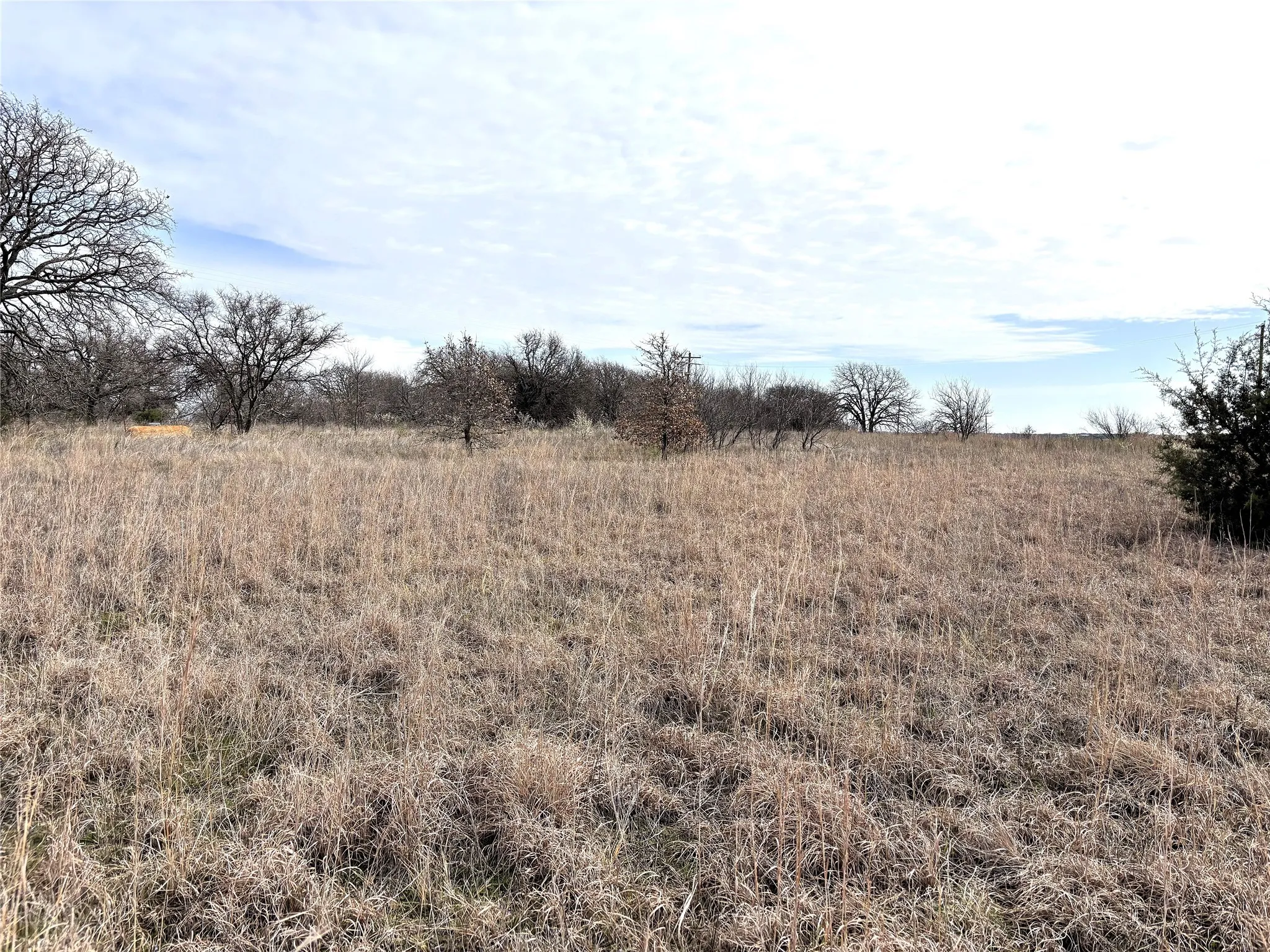Unimproved Land For Sale in Clay County , 8.39 Acres FM 174, Henrietta, Texas 76365, 0, 0, Garage spaces, 0 Sqft, built in 0, Price $89,000, mls#20869998, Real Estate Agent in Henrietta, Homes For Sale in Clay county, Homes For Sale in Henrietta, Realtor in Henrietta Texas, Real Estate Brokerage Independent Realty Texas, Luminita Cordes Realtor