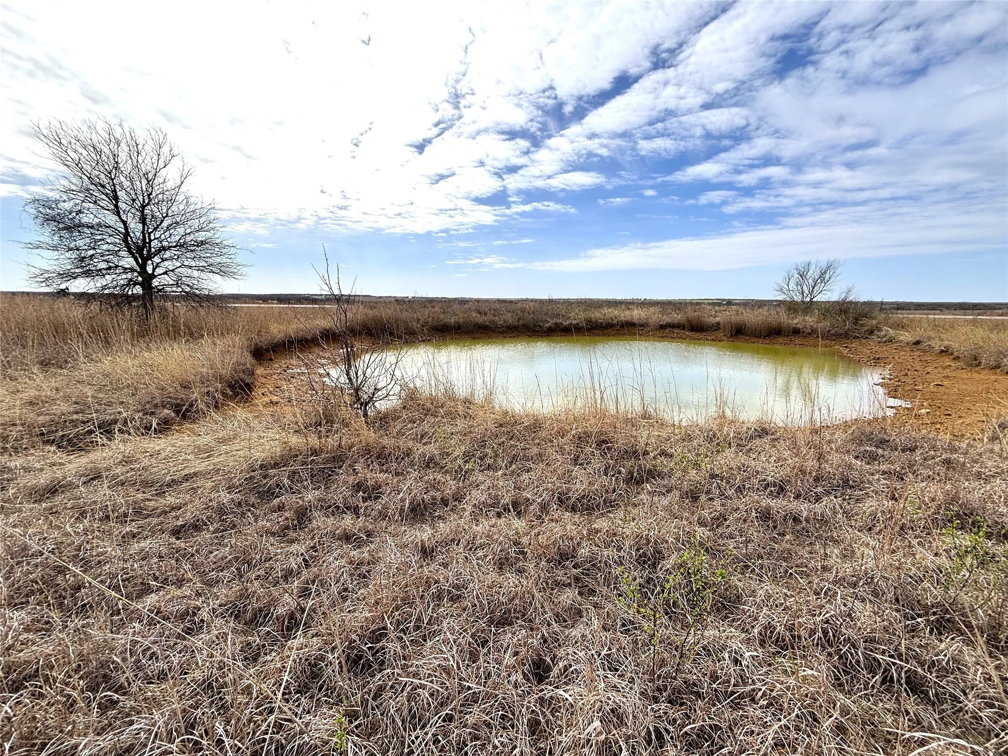 Unimproved Land For Sale in Clay County , 8.39 Acres FM 174, Henrietta, Texas 76365, 0, 0, Garage spaces, 0 Sqft, built in 0, Price $89,000, mls#20869998, Real Estate Agent in Henrietta, Homes For Sale in Clay county, Homes For Sale in Henrietta, Realtor in Henrietta Texas, Real Estate Brokerage Independent Realty Texas, Luminita Cordes Realtor