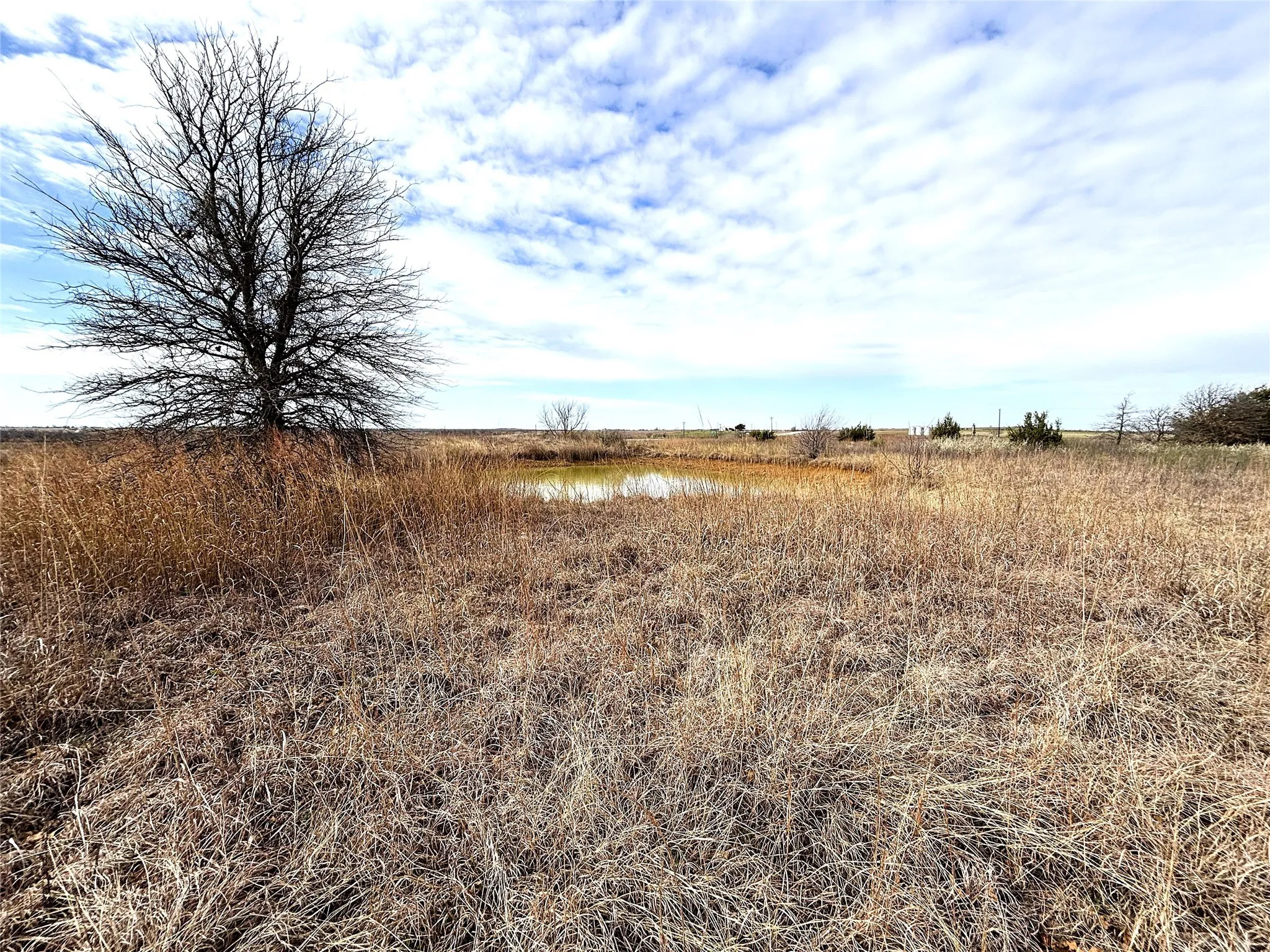Unimproved Land For Sale in Clay County , 8.39 Acres FM 174, Henrietta, Texas 76365, 0, 0, Garage spaces, 0 Sqft, built in 0, Price $89,000, mls#20869998, Real Estate Agent in Henrietta, Homes For Sale in Clay county, Homes For Sale in Henrietta, Realtor in Henrietta Texas, Real Estate Brokerage Independent Realty Texas, Luminita Cordes Realtor