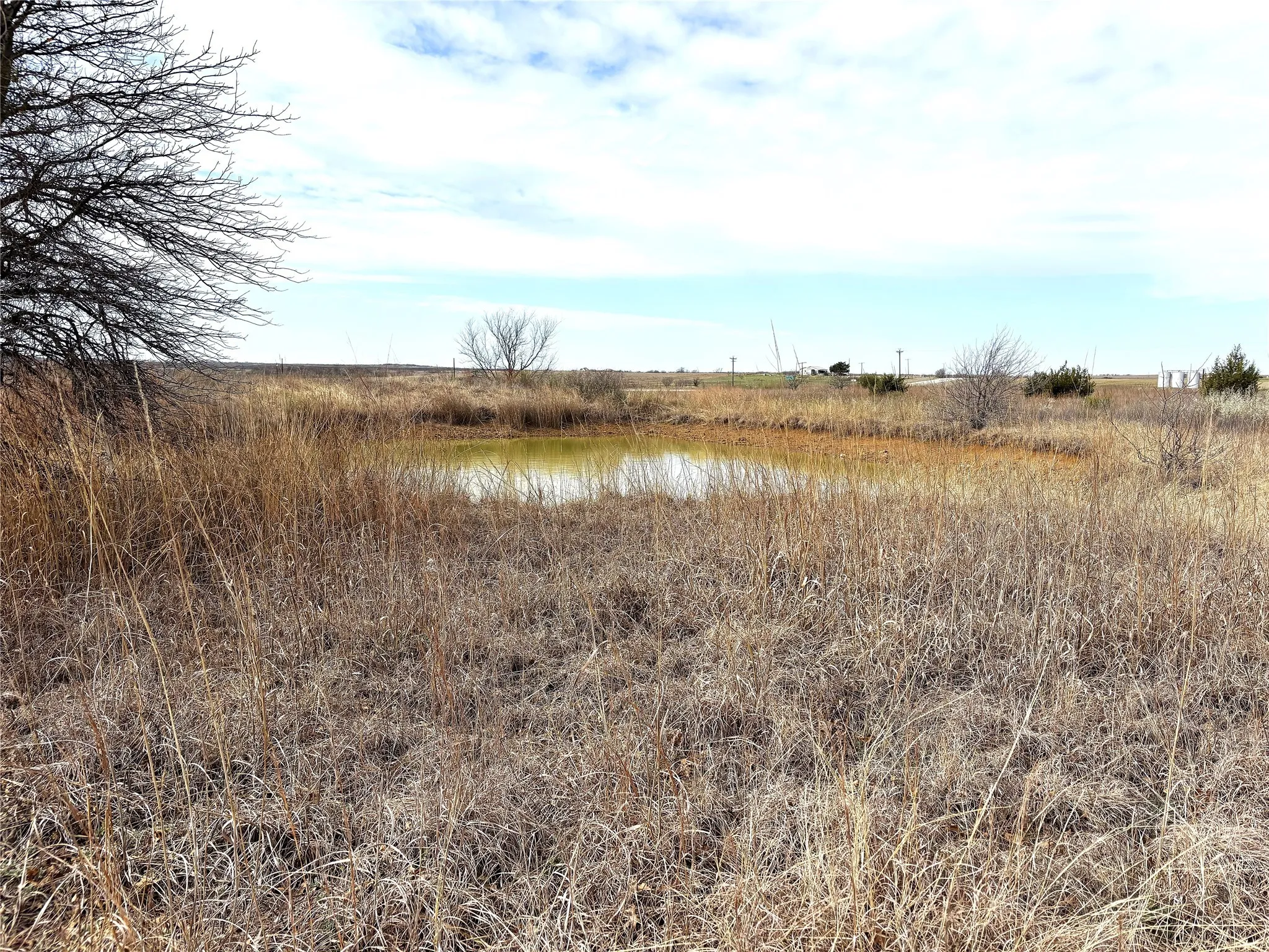 Unimproved Land For Sale in Clay County , 8.39 Acres FM 174, Henrietta, Texas 76365, 0, 0, Garage spaces, 0 Sqft, built in 0, Price $89,000, mls#20869998, Real Estate Agent in Henrietta, Homes For Sale in Clay county, Homes For Sale in Henrietta, Realtor in Henrietta Texas, Real Estate Brokerage Independent Realty Texas, Luminita Cordes Realtor
