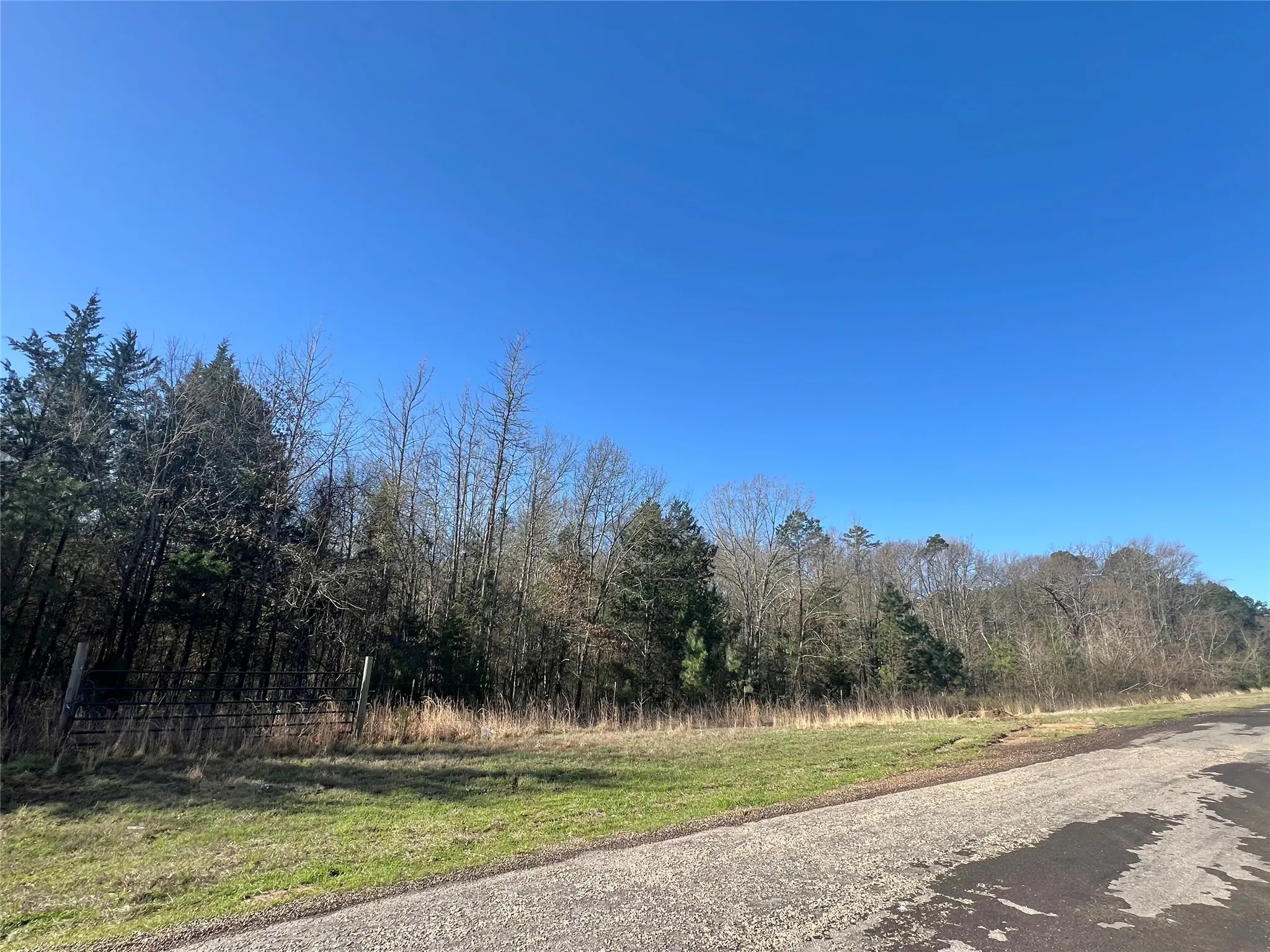 View of road featuring a wooded view