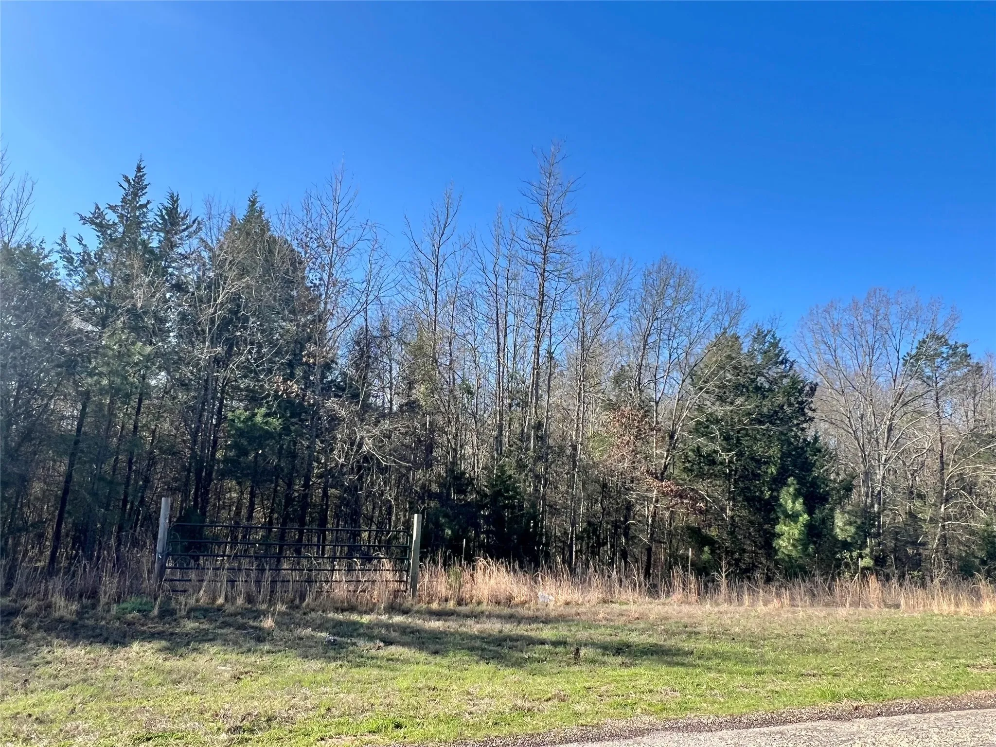 Unimproved Land For Sale in Titus County , 0 CR 1400, Mt Pleasant, Texas 75455, 0, 0, Garage spaces, 0 Sqft, built in 0, Price $410,000, mls#20872888, Real Estate Agent in Mt Pleasant, Homes For Sale in Titus county, Homes For Sale in Mt Pleasant, Realtor in Mt Pleasant Texas, Real Estate Brokerage Independent Realty Texas, Luminita Cordes Realtor