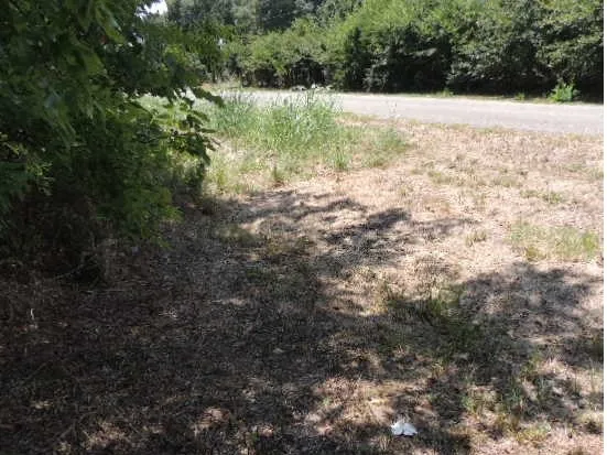 Side approaching CR 3303