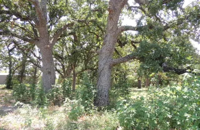 Neighbors South of CR 3303
