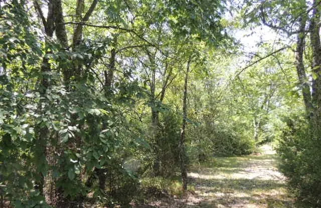View of landscape featuring a forest view