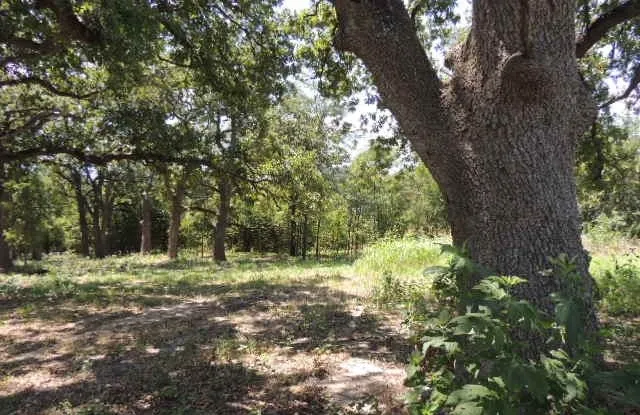 View of nature