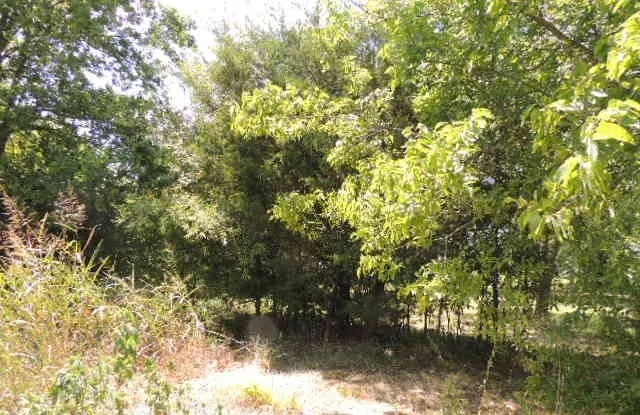 Path looking onto CR 3303