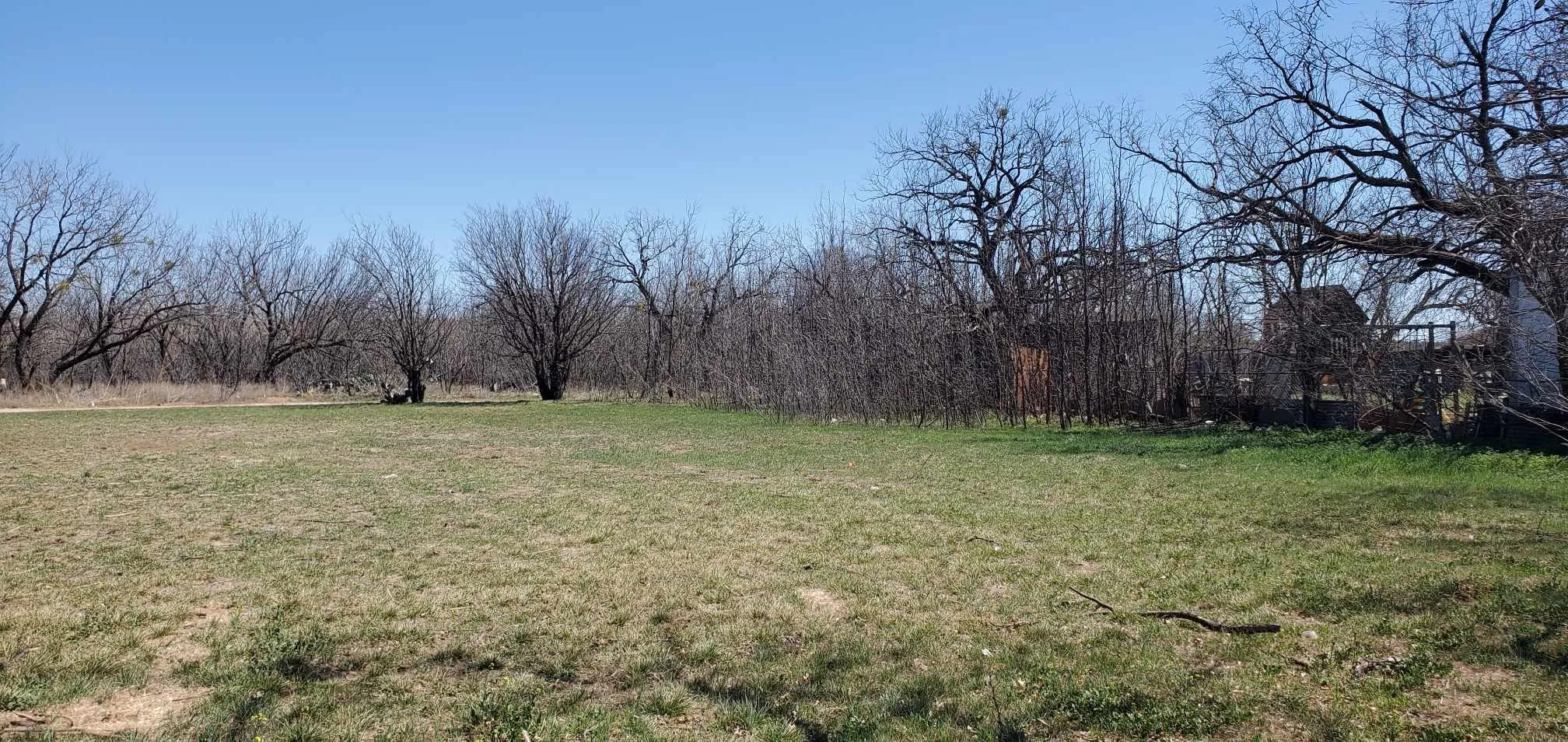 Unimproved Land For Sale in Taylor County , 2441 Westmoreland Street, Abilene, Texas 79603, 0, 0, Garage spaces, 0 Sqft, built in 0, Price $24,000, mls#20871012, Real Estate Agent in Abilene, Homes For Sale in Taylor county, Homes For Sale in Abilene, Realtor in Abilene Texas, Real Estate Brokerage Independent Realty Texas, Luminita Cordes Realtor