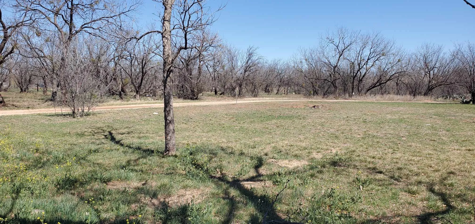 Unimproved Land For Sale in Taylor County , 2441 Westmoreland Street, Abilene, Texas 79603, 0, 0, Garage spaces, 0 Sqft, built in 0, Price $24,000, mls#20871012, Real Estate Agent in Abilene, Homes For Sale in Taylor county, Homes For Sale in Abilene, Realtor in Abilene Texas, Real Estate Brokerage Independent Realty Texas, Luminita Cordes Realtor