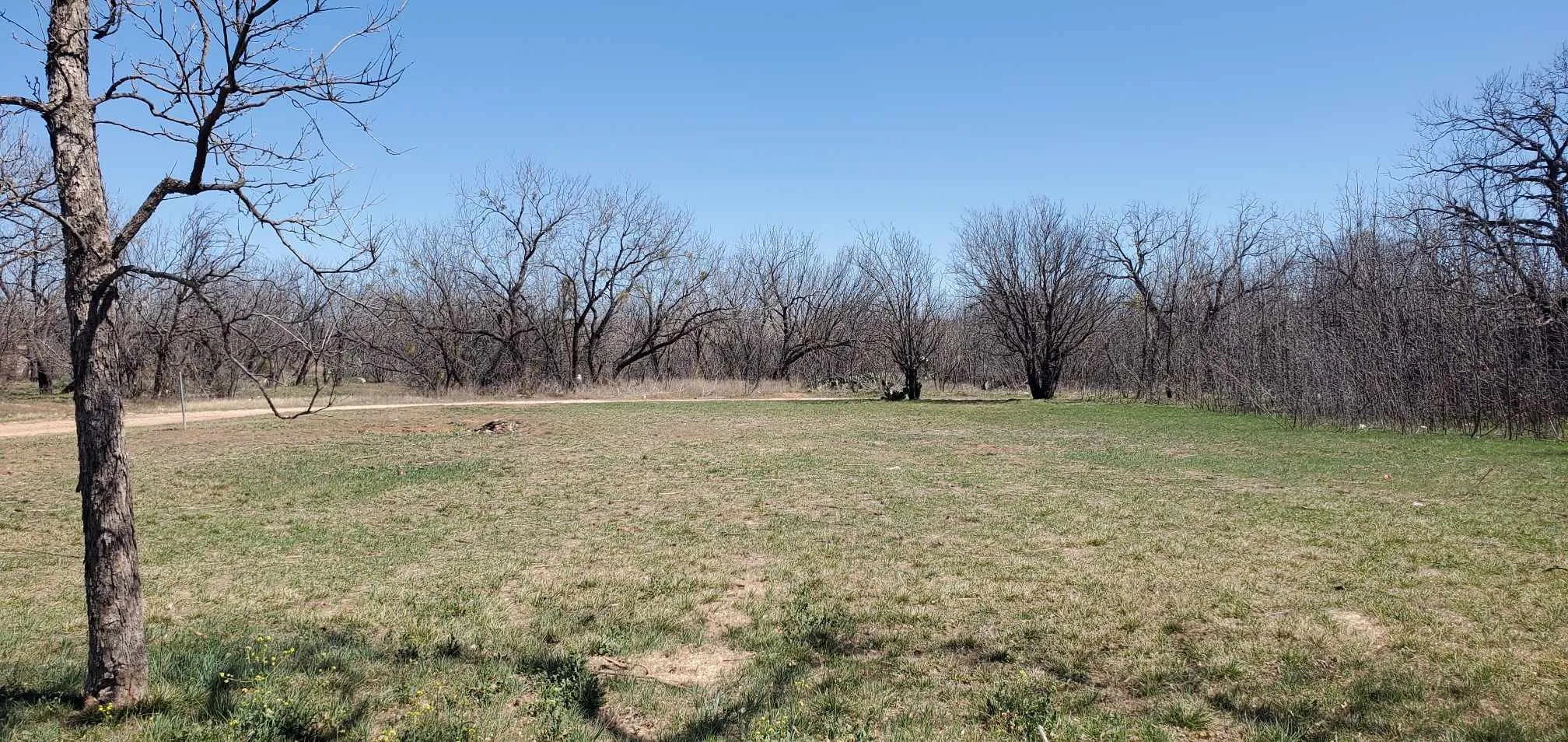 Unimproved Land For Sale in Taylor County , 2441 Westmoreland Street, Abilene, Texas 79603, 0, 0, Garage spaces, 0 Sqft, built in 0, Price $24,000, mls#20871012, Real Estate Agent in Abilene, Homes For Sale in Taylor county, Homes For Sale in Abilene, Realtor in Abilene Texas, Real Estate Brokerage Independent Realty Texas, Luminita Cordes Realtor