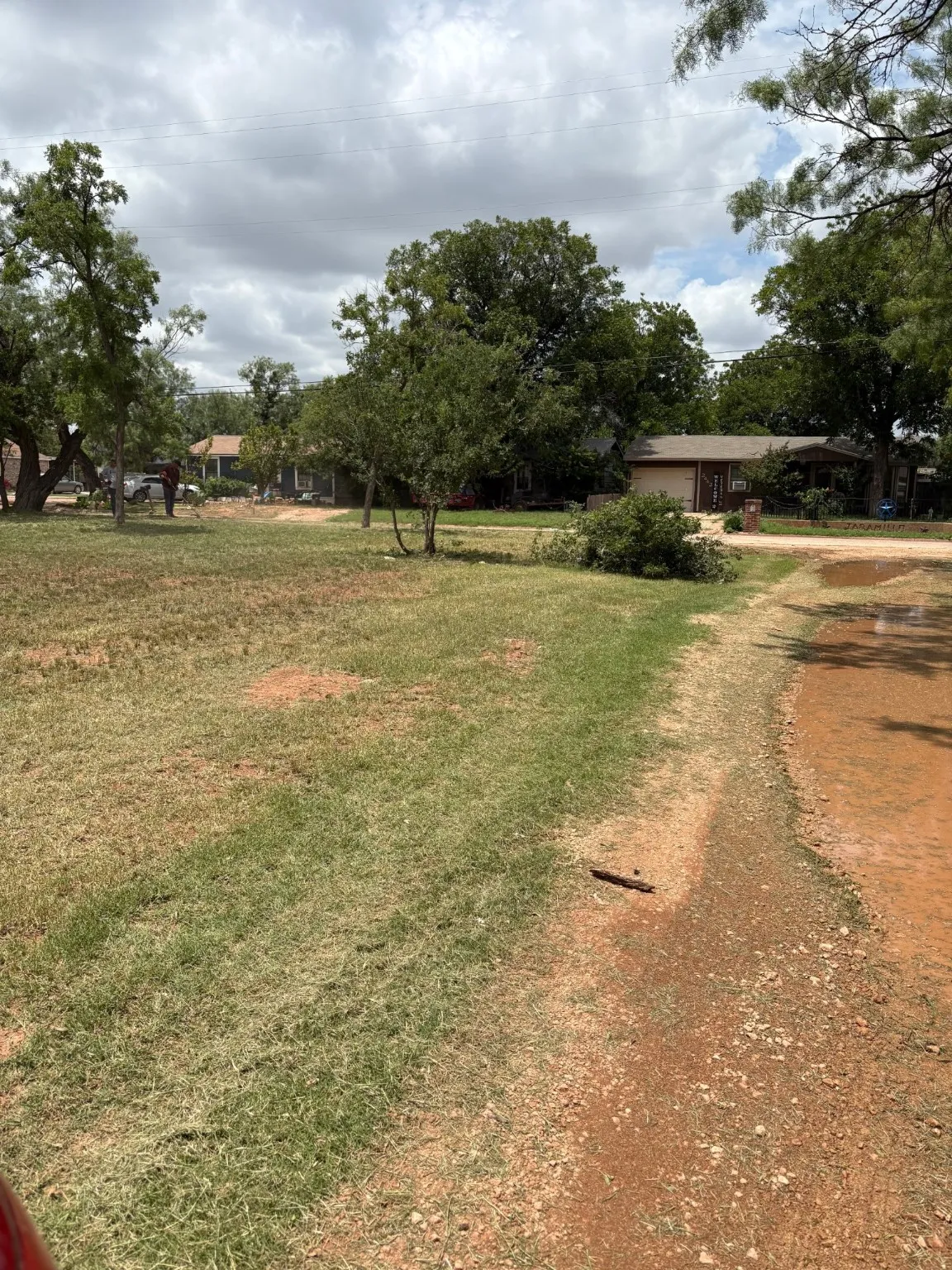 View of green lawn