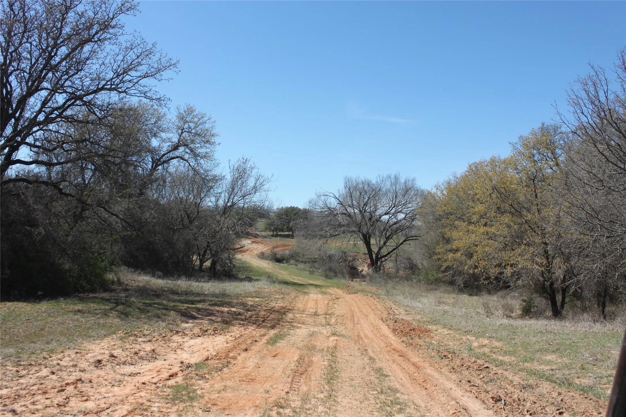 View of dirt pathway.