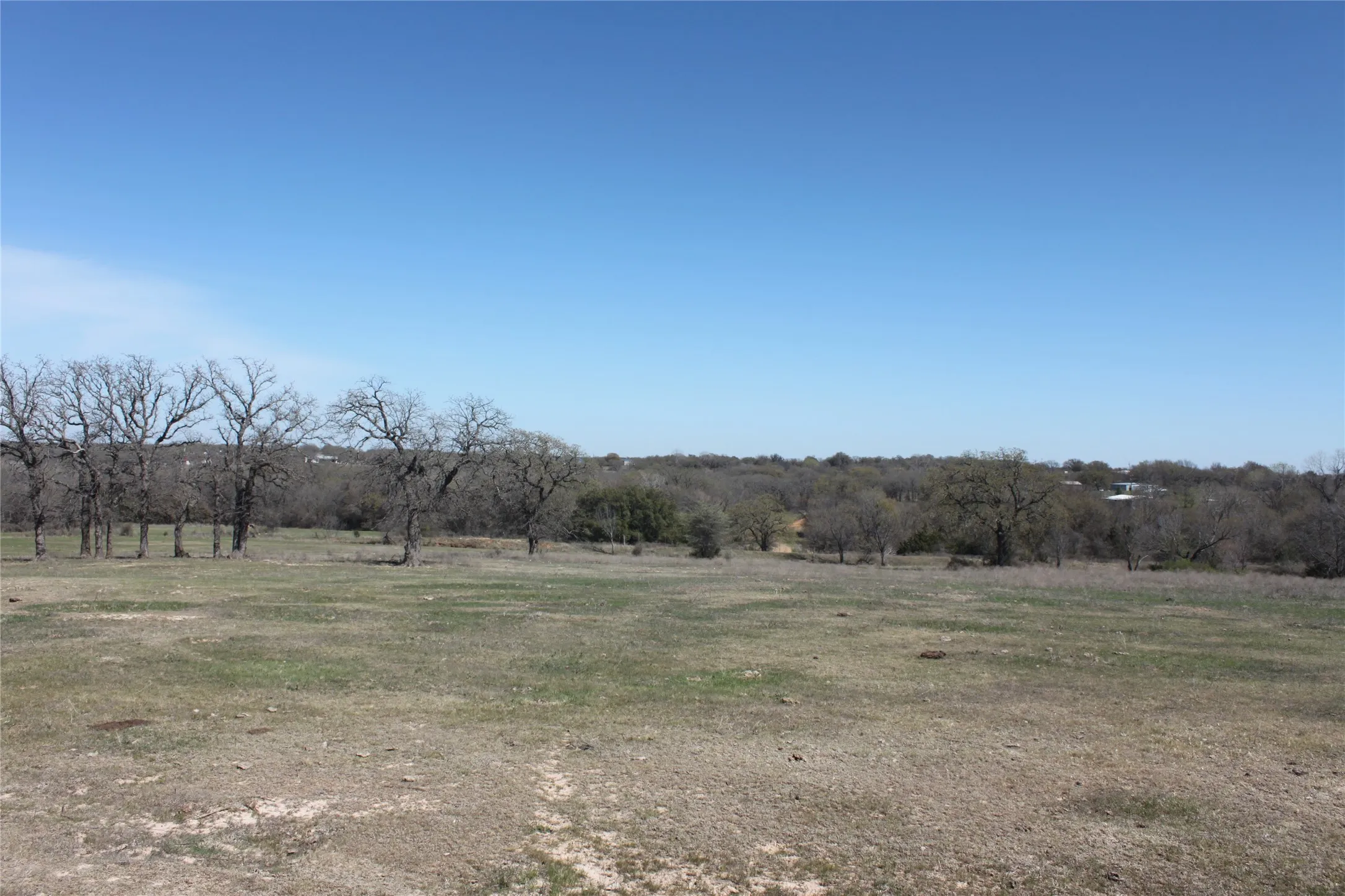 View of local wilderness with a rural view