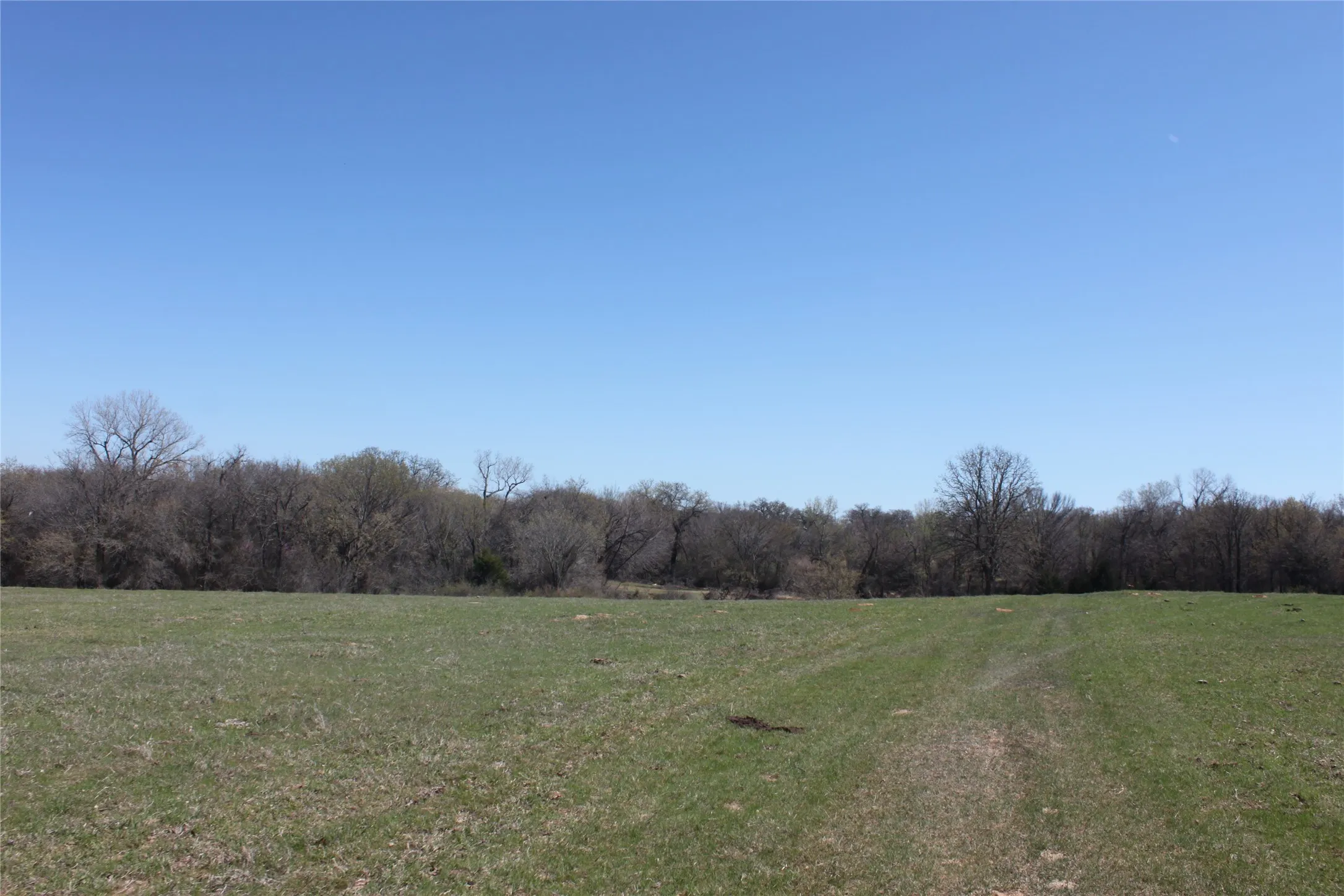 View of local wilderness featuring a forest view